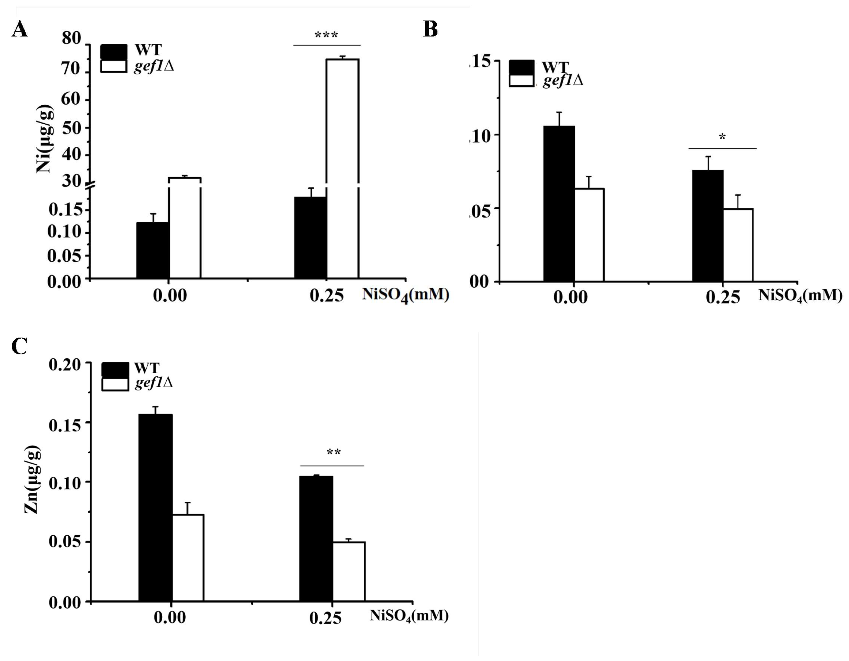 Preprints 146108 g002