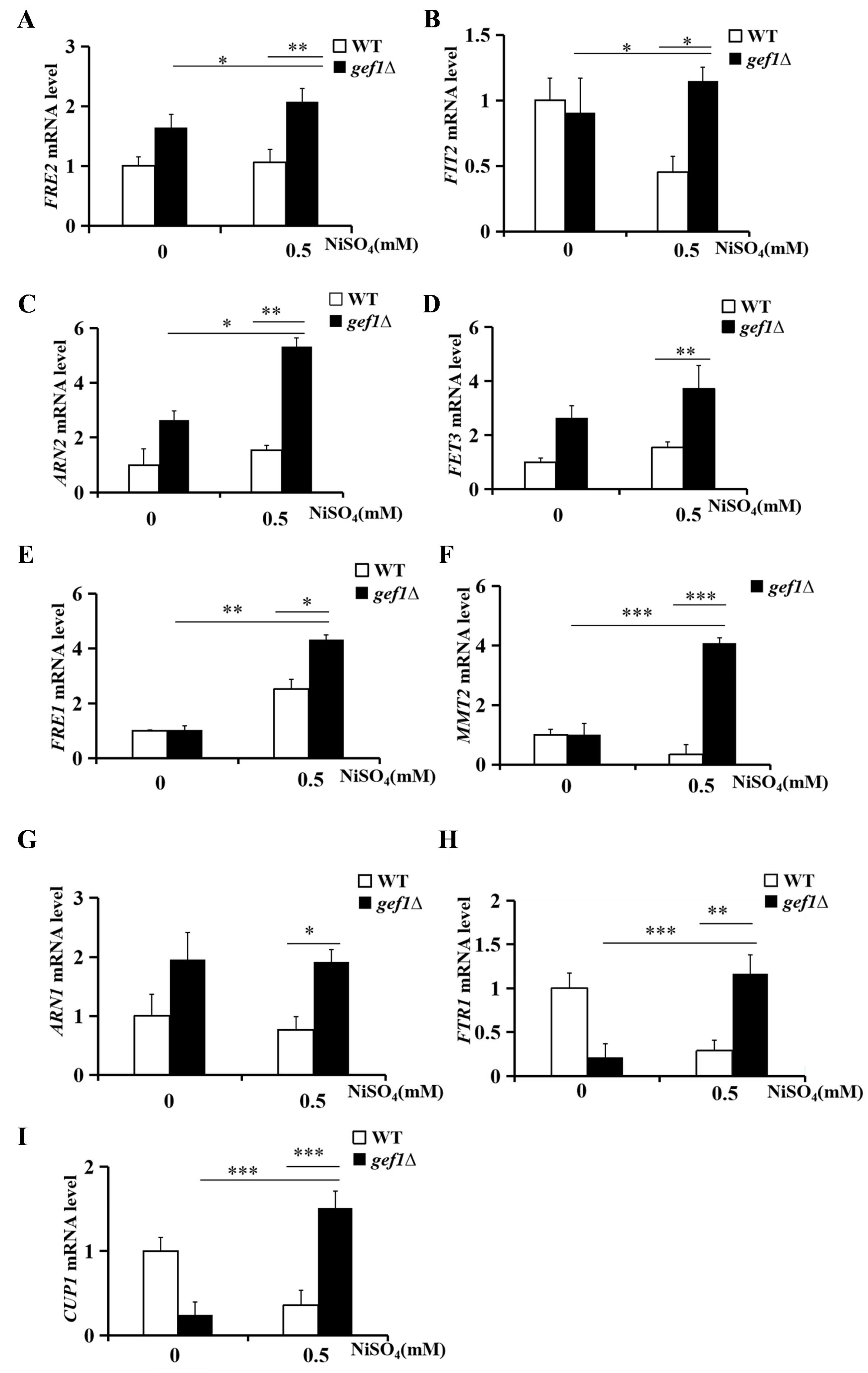 Preprints 146108 g003
