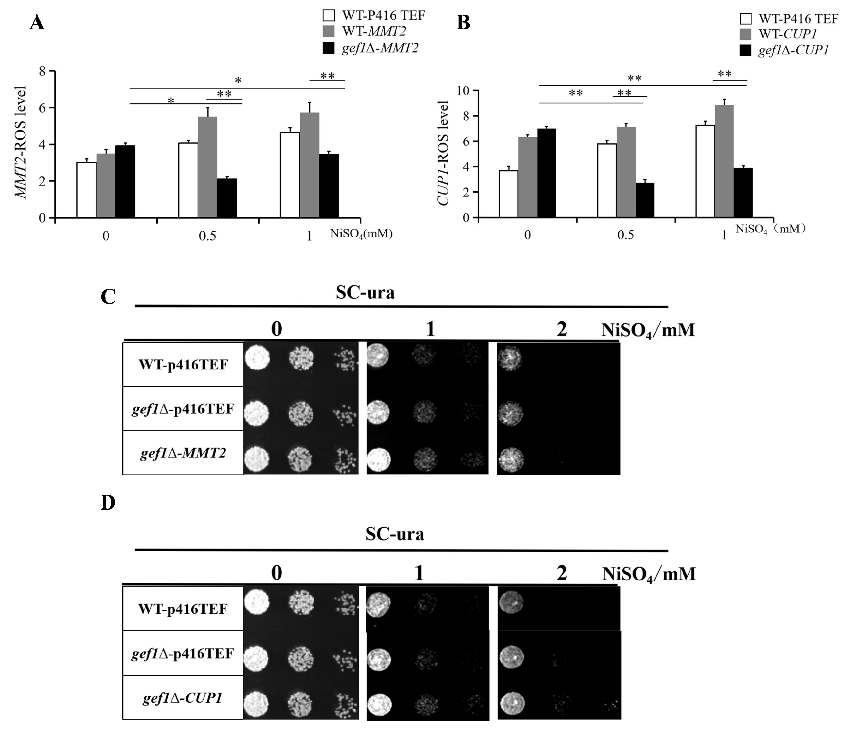 Preprints 146108 g005