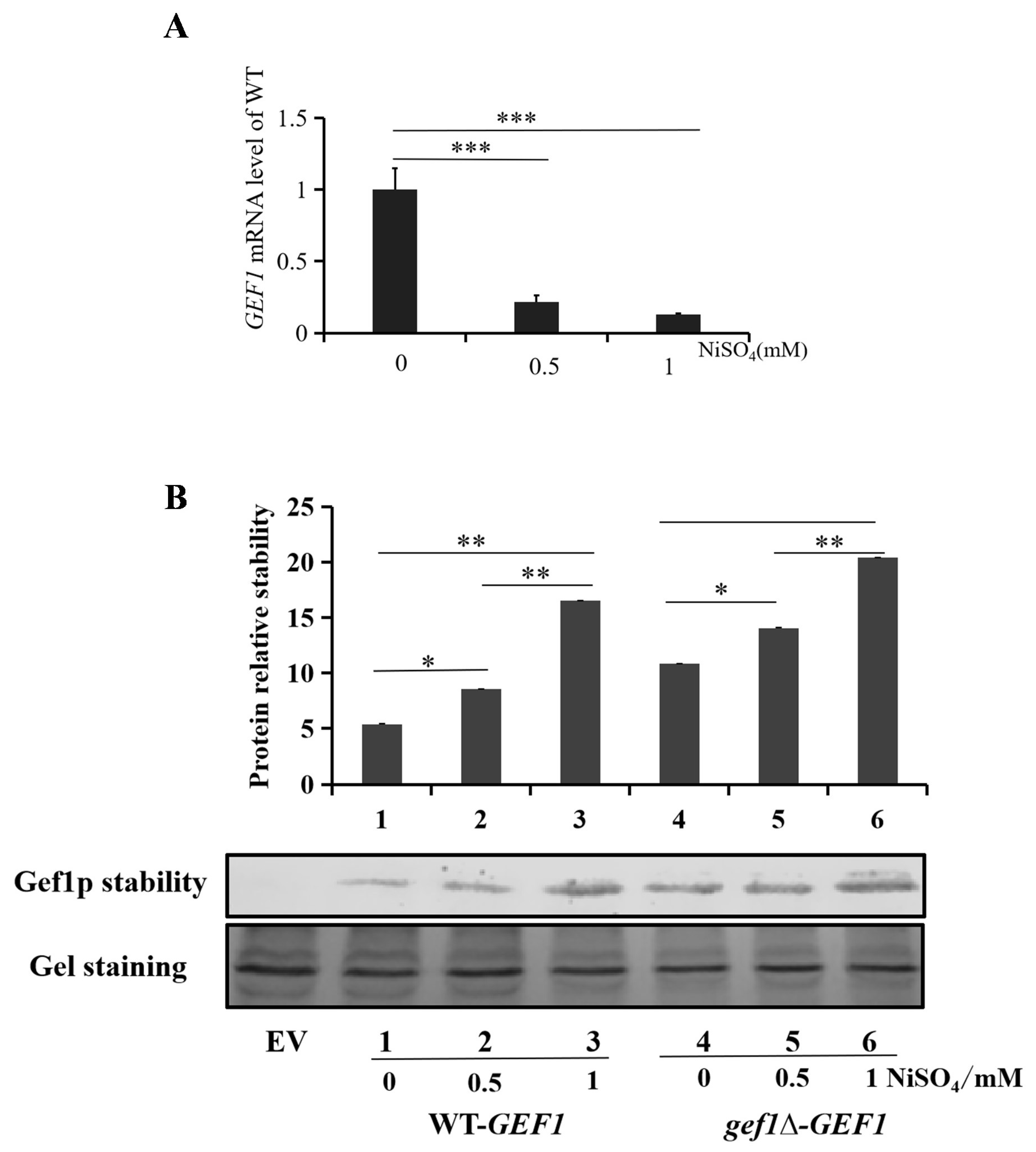 Preprints 146108 g006
