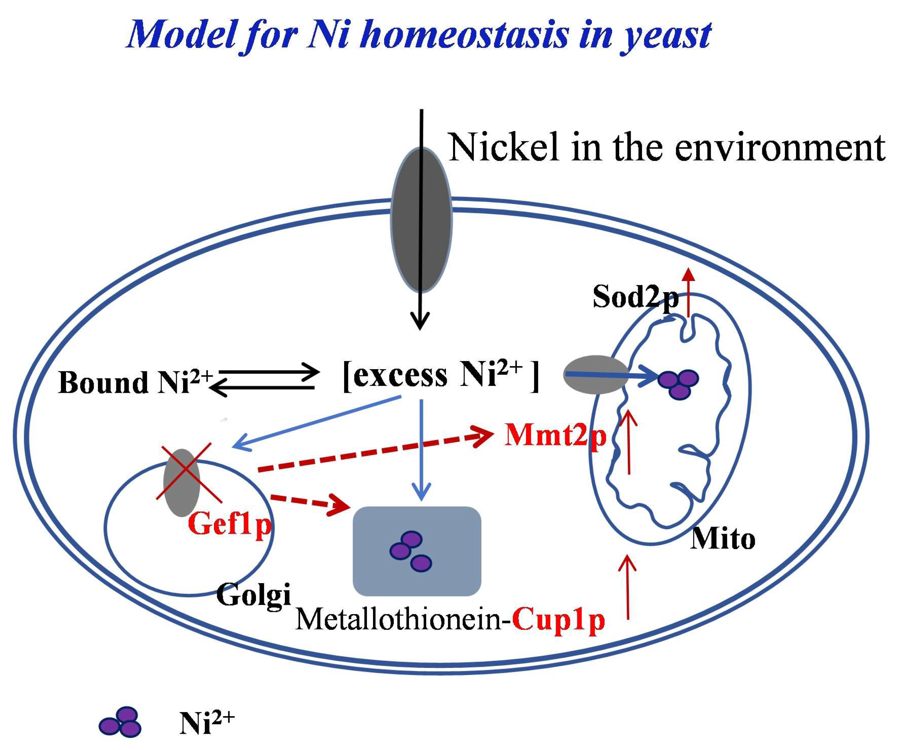 Preprints 146108 g007