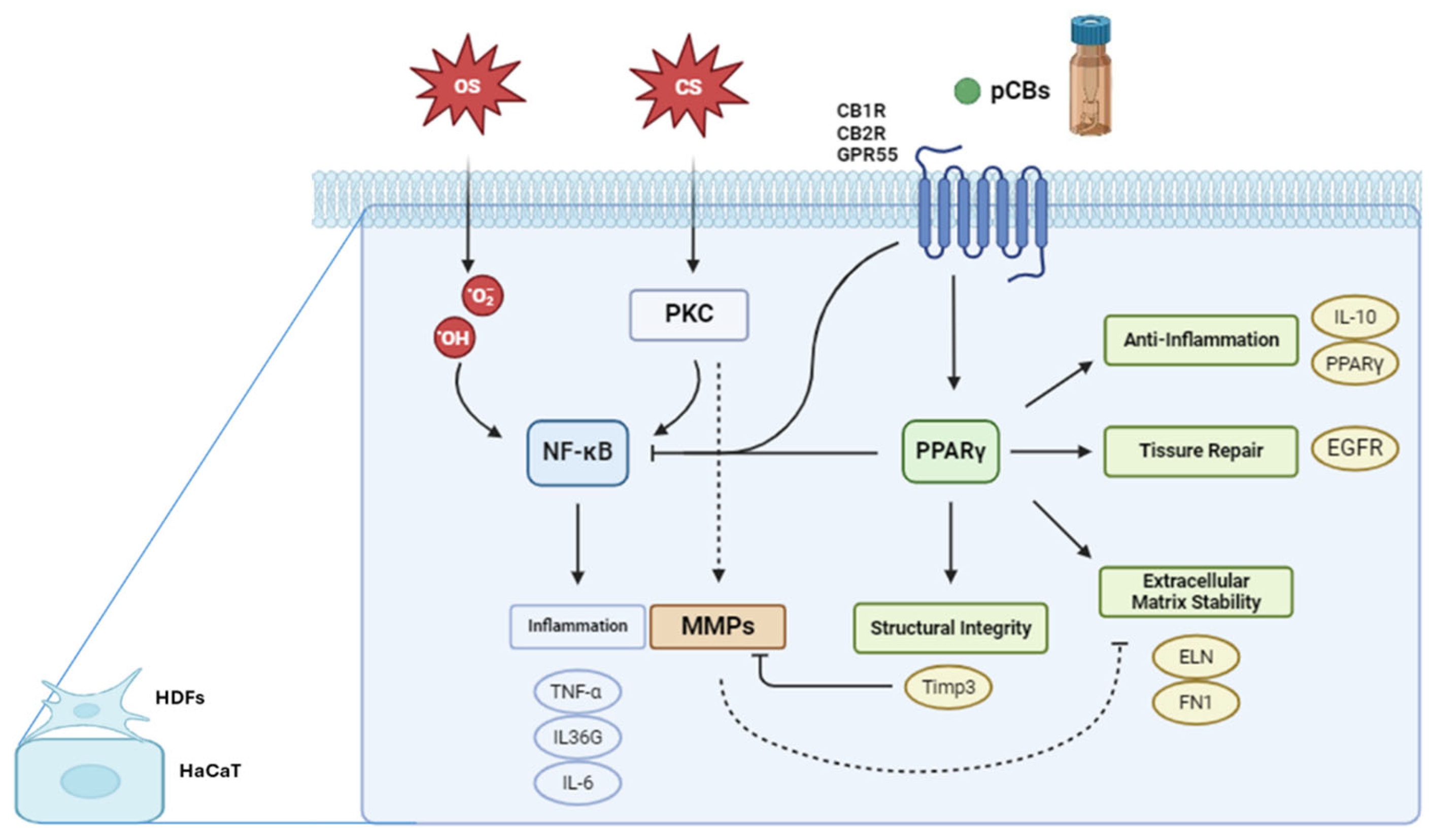 Preprints 138502 g003