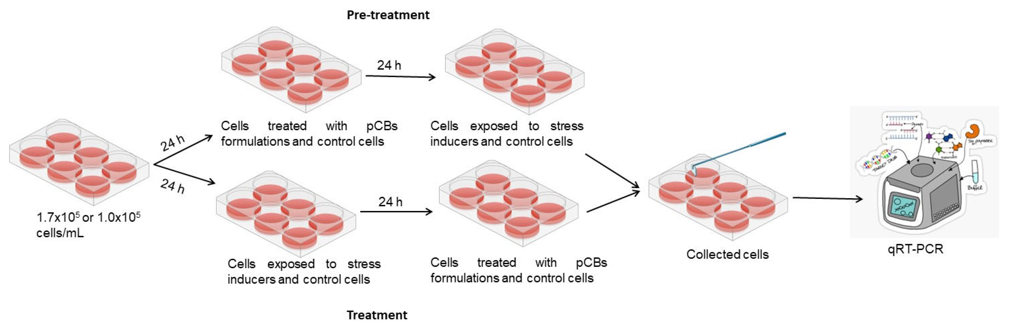 Preprints 138502 g008