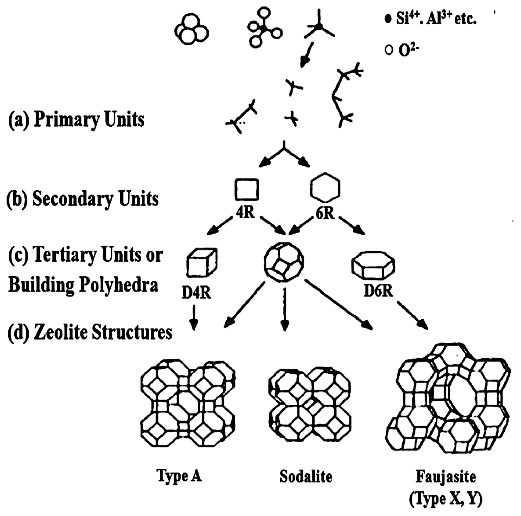Preprints 191929 g002