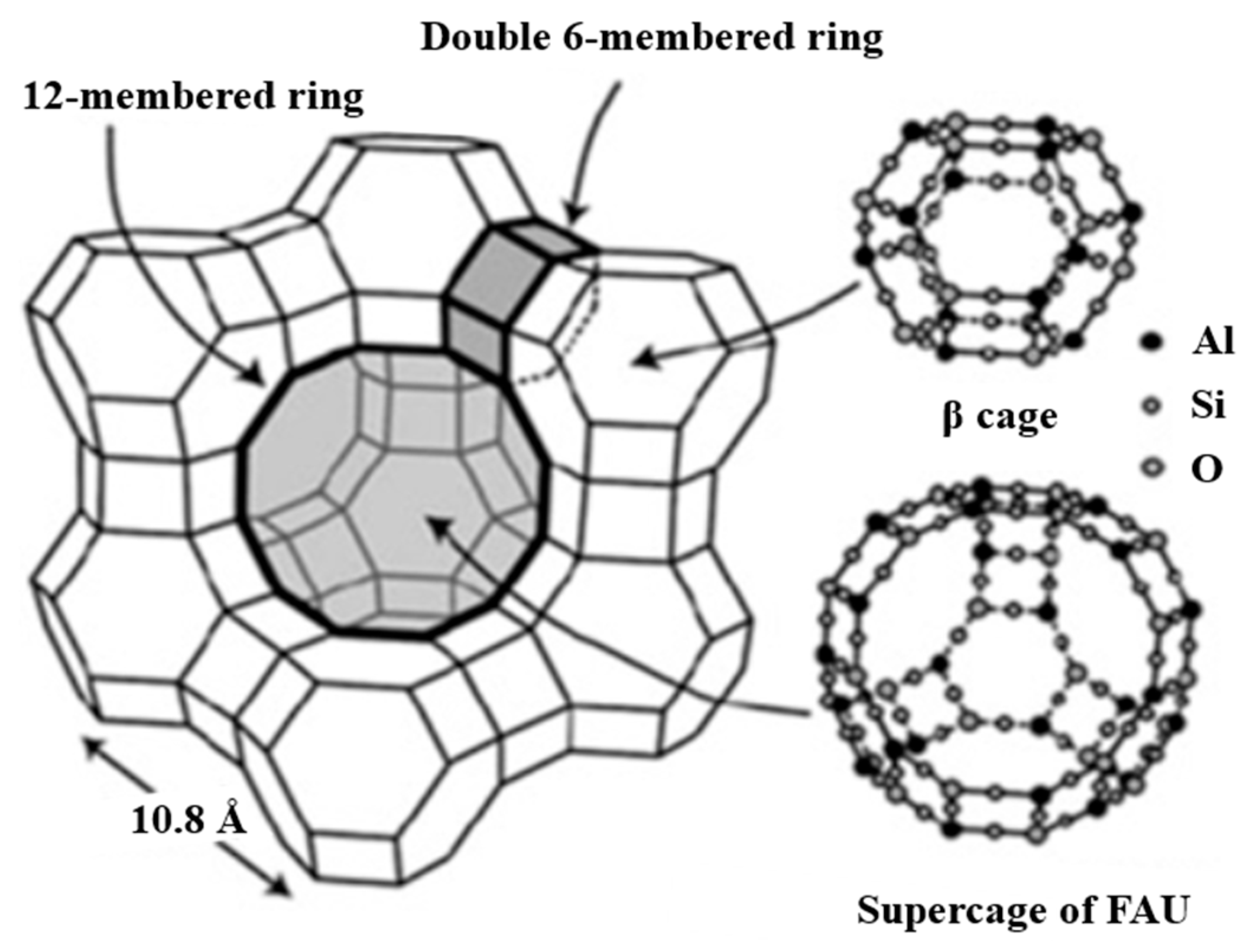 Preprints 191929 g004