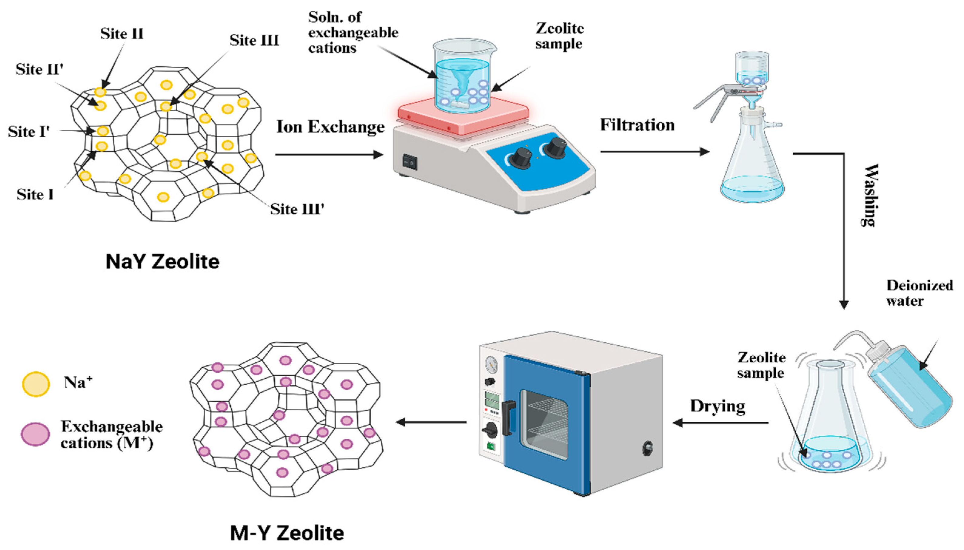 Preprints 191929 g009
