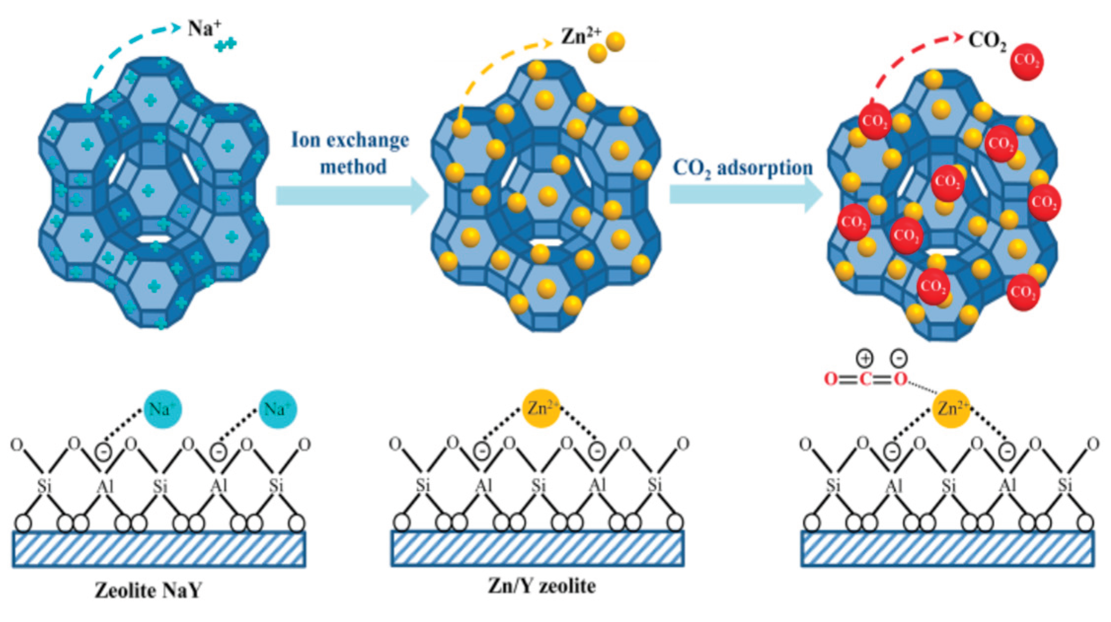 Preprints 191929 g010