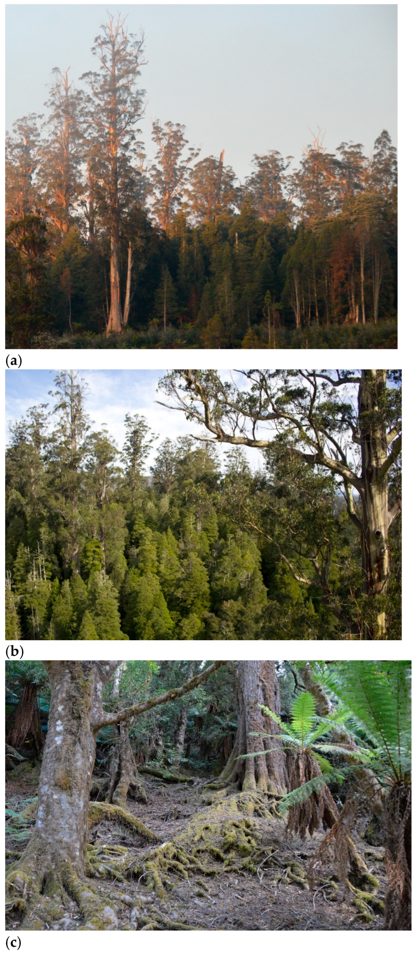 Preprints 120526 g001