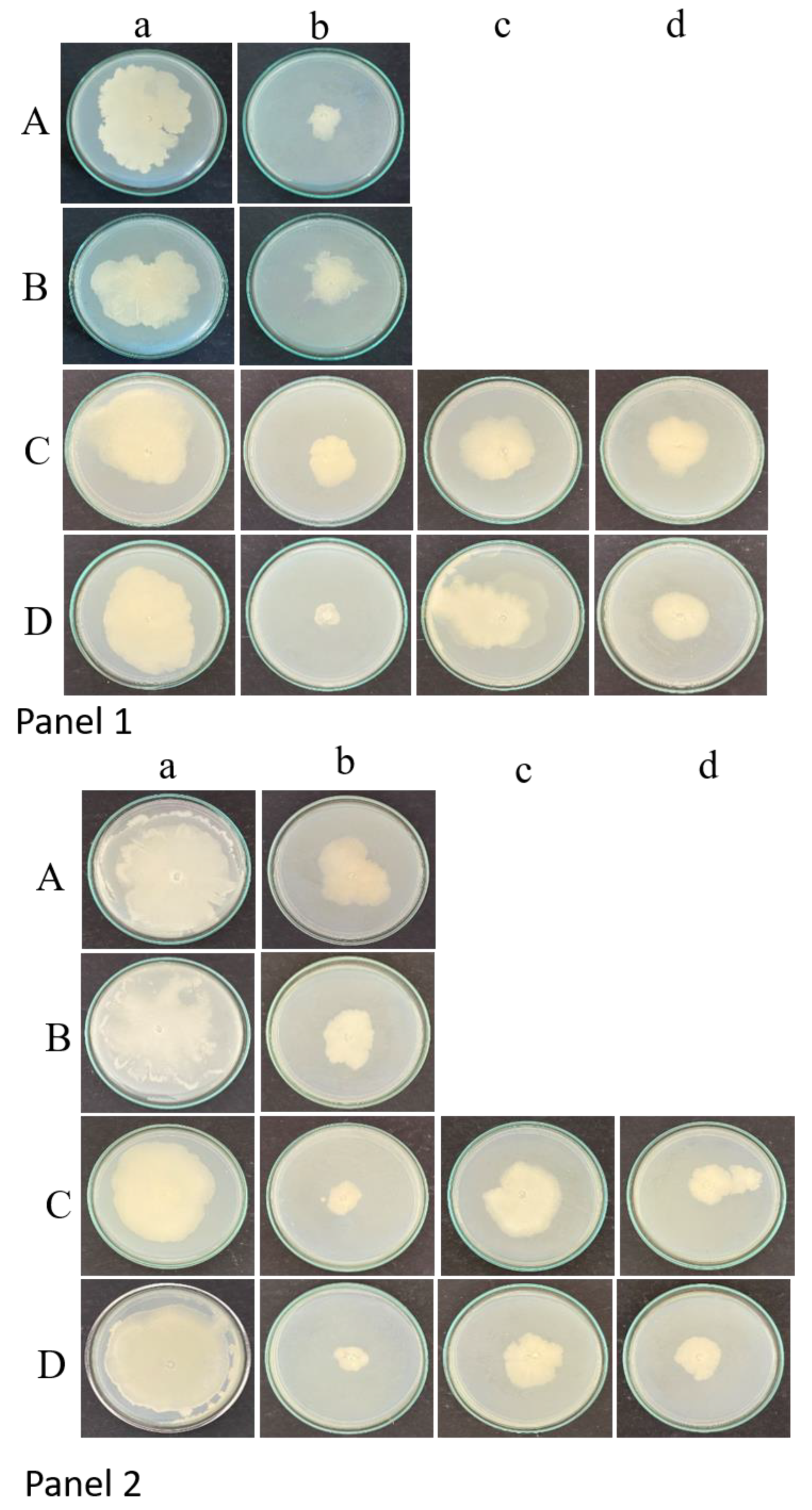 Preprints 141041 g002