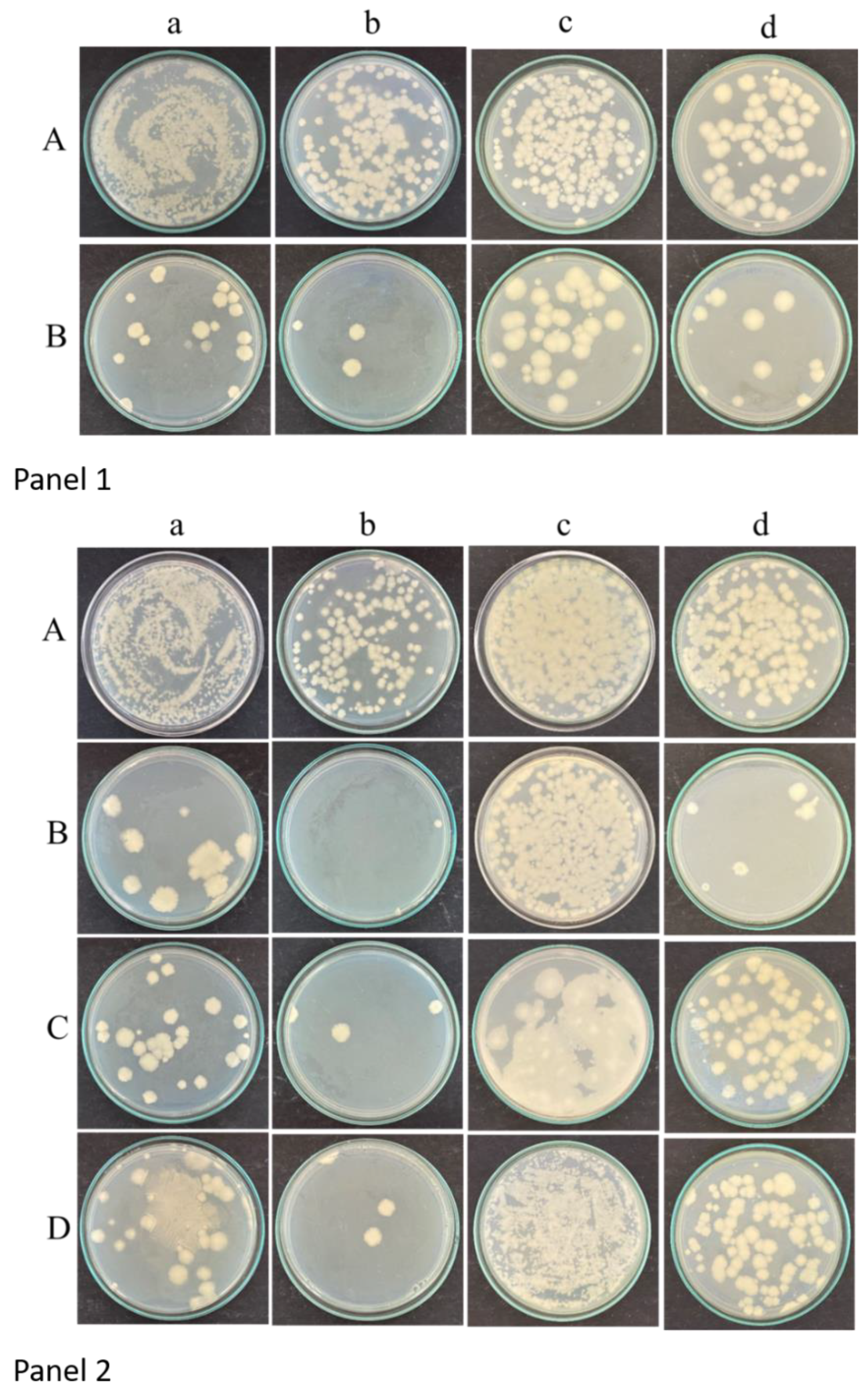 Preprints 141041 g004