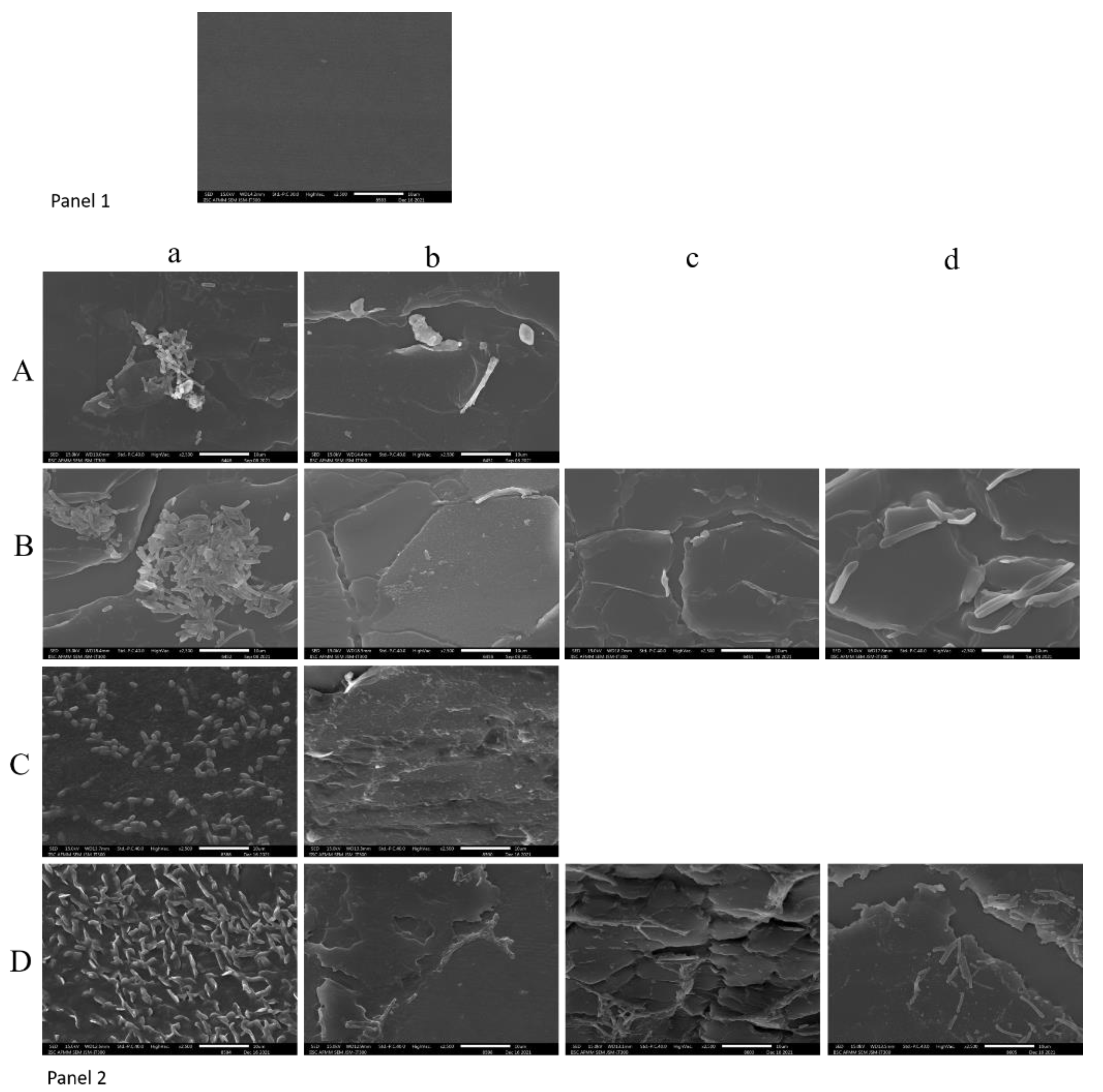 Preprints 141041 g005