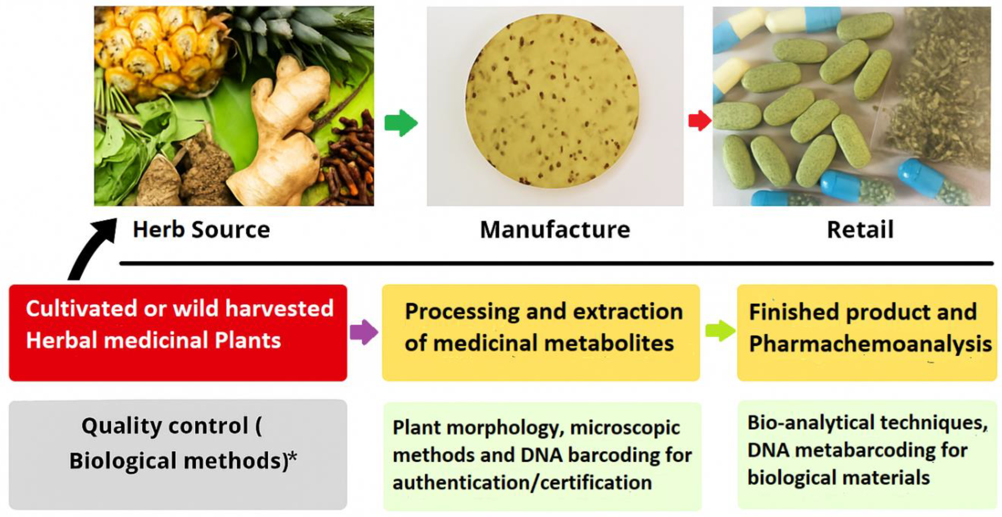 Preprints 169897 g001