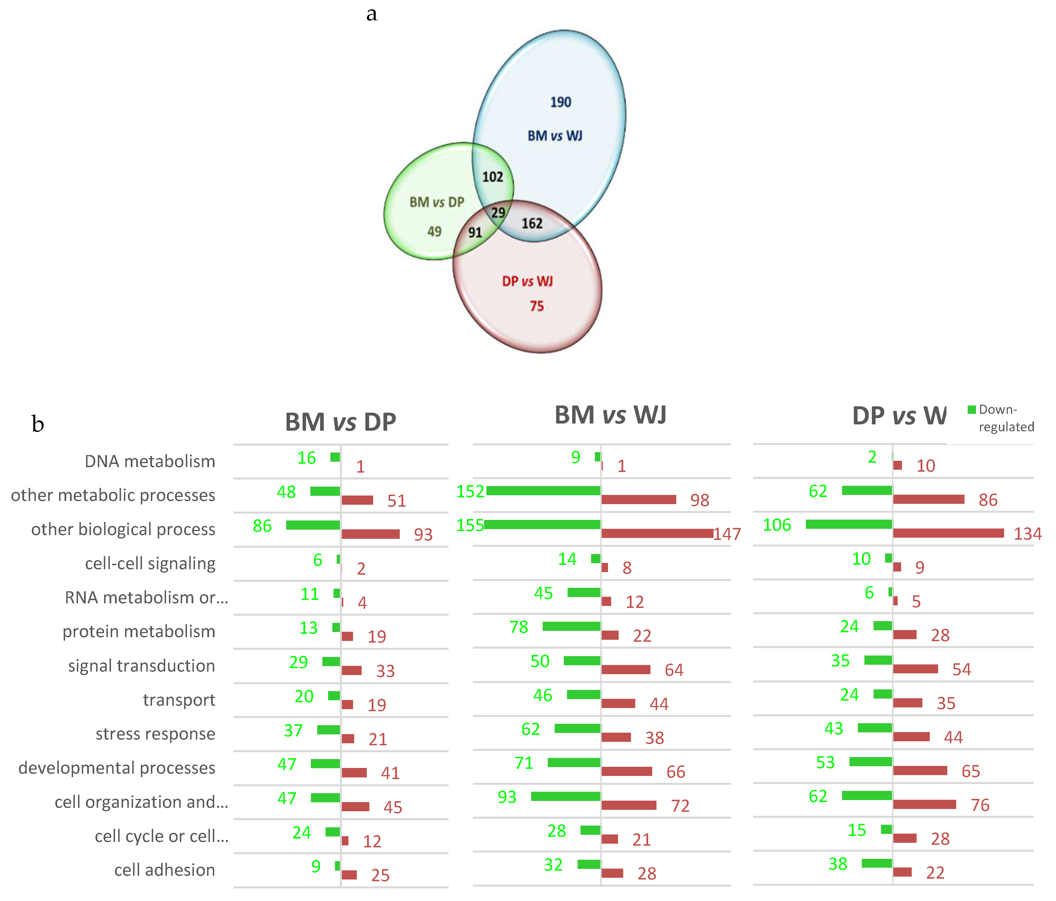 Preprints 80504 g002