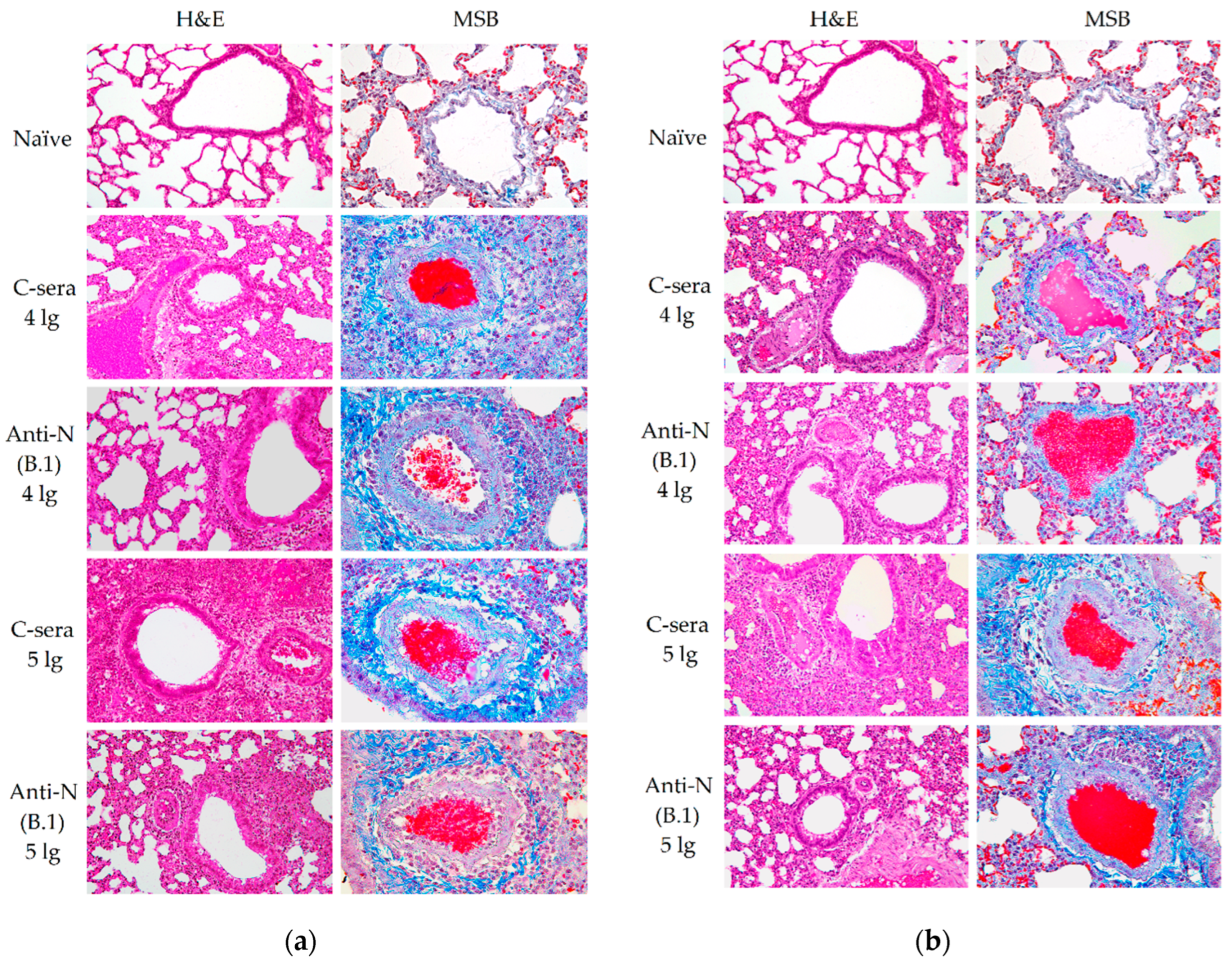 Preprints 159113 g005