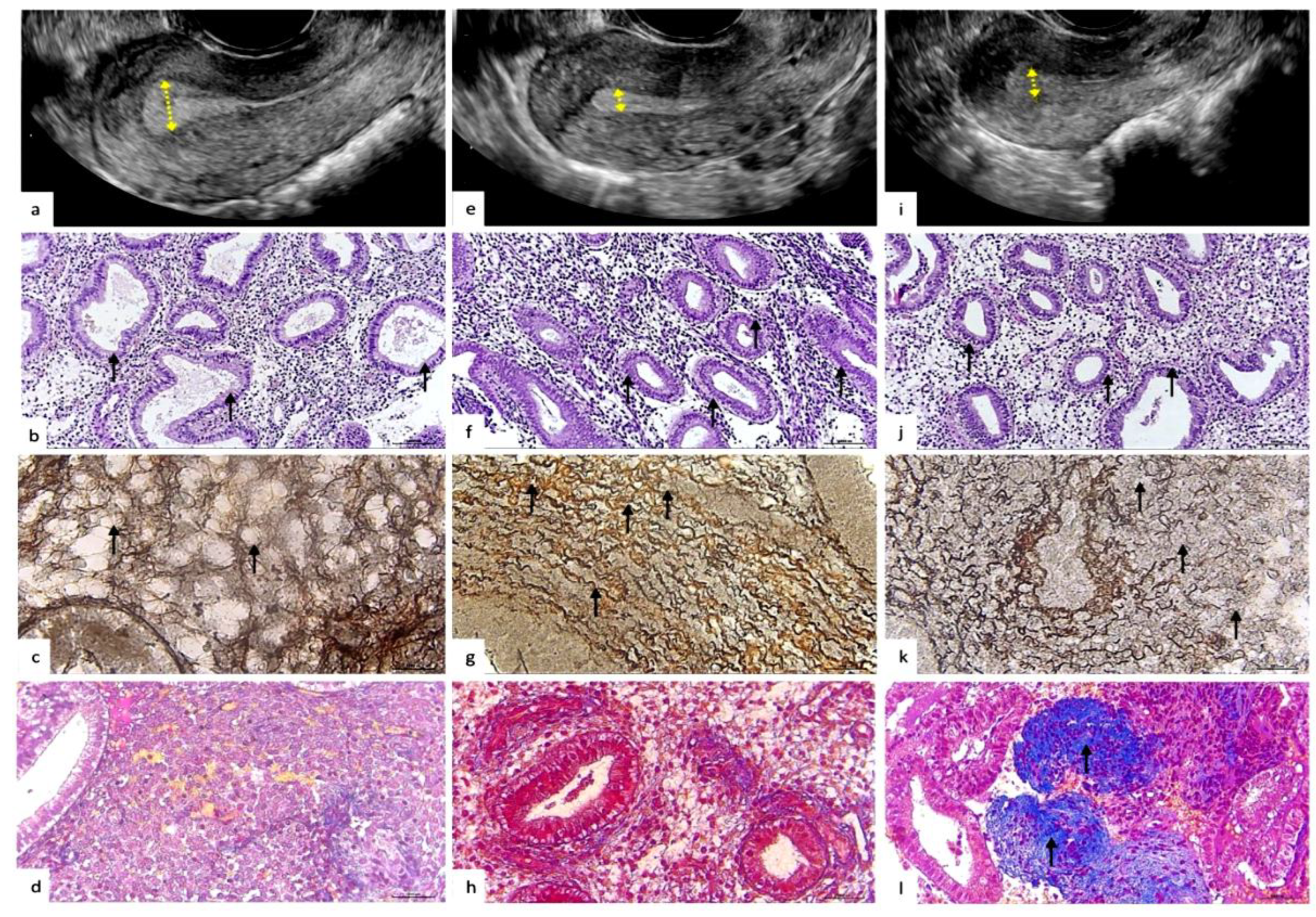Preprints 154082 g002