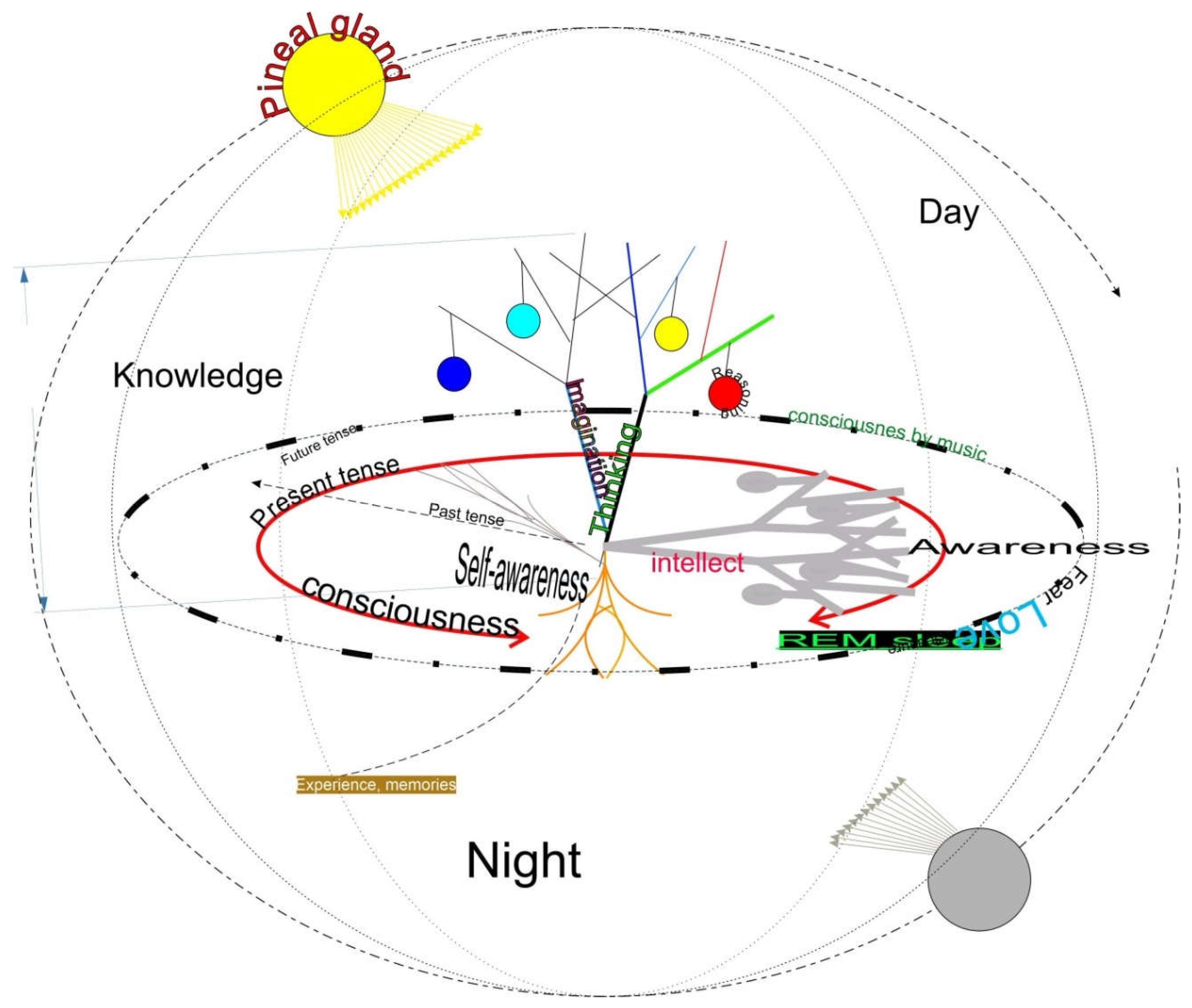 Preprints 155493 g001