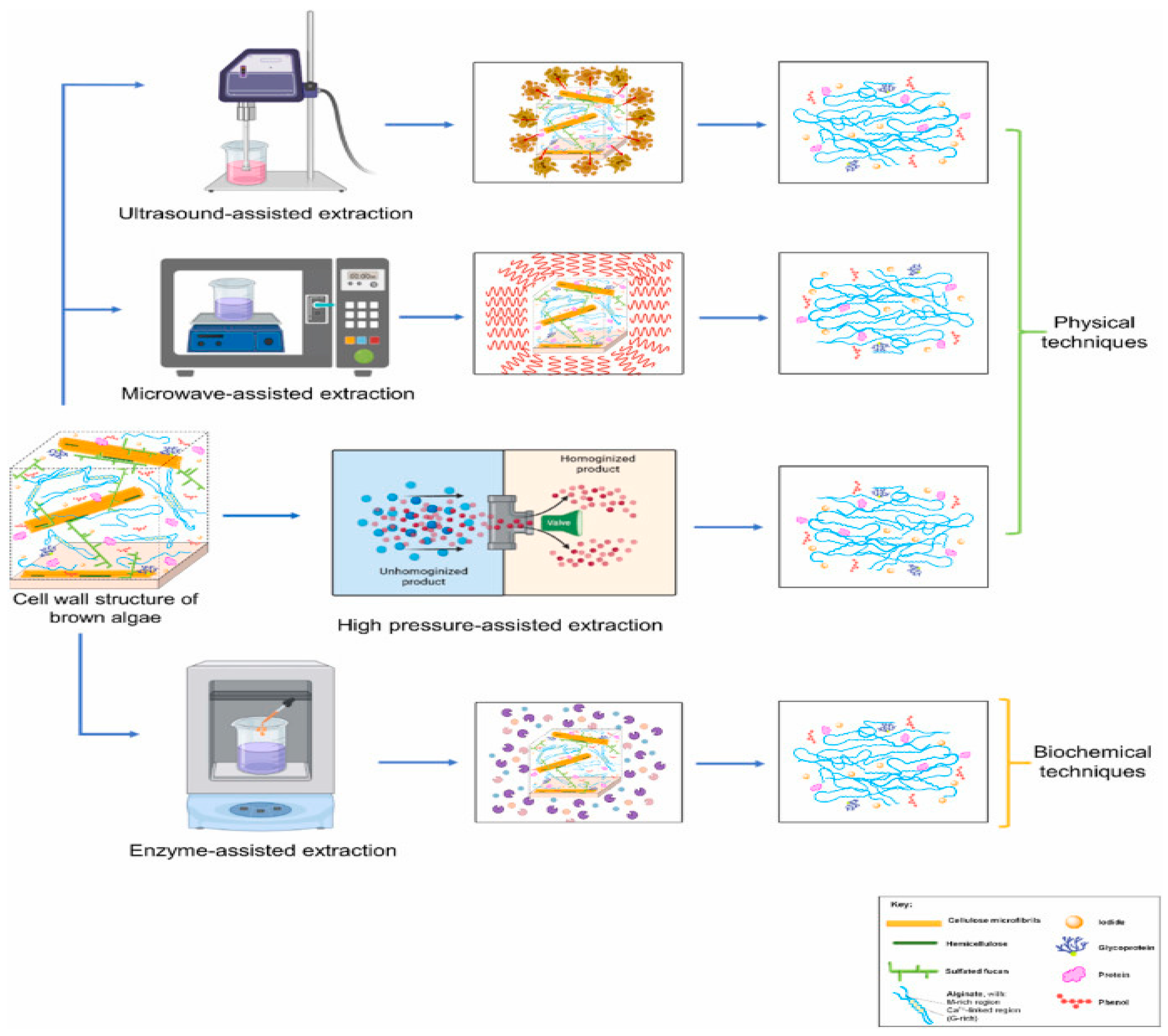 Preprints 157230 g007
