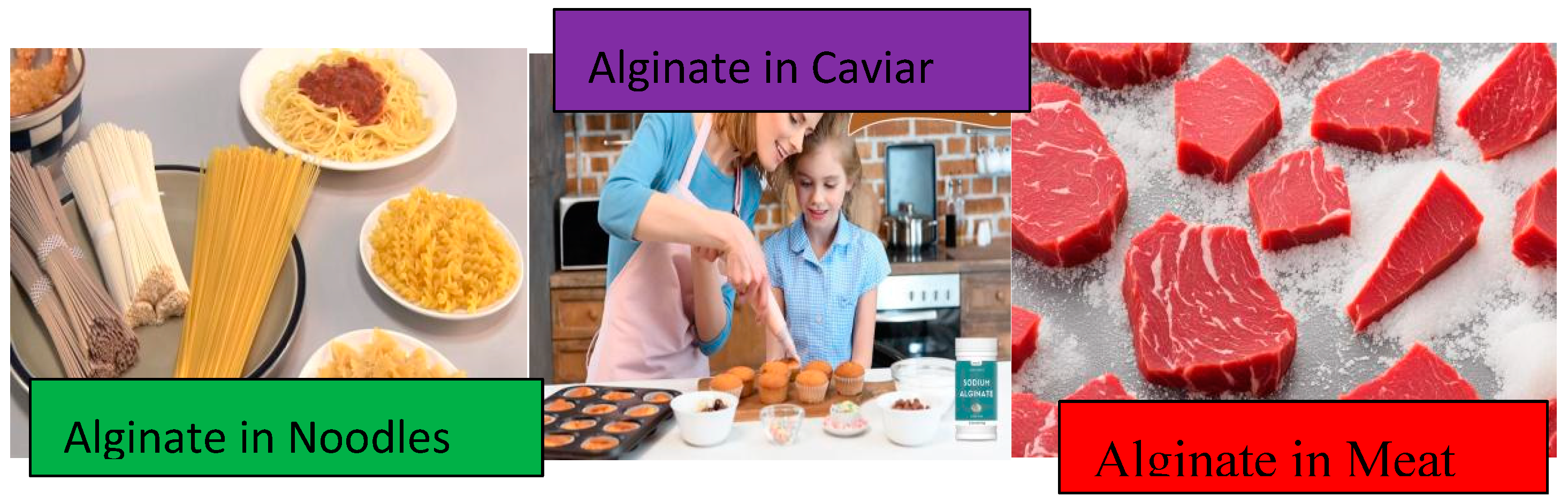 Preprints 157230 g008