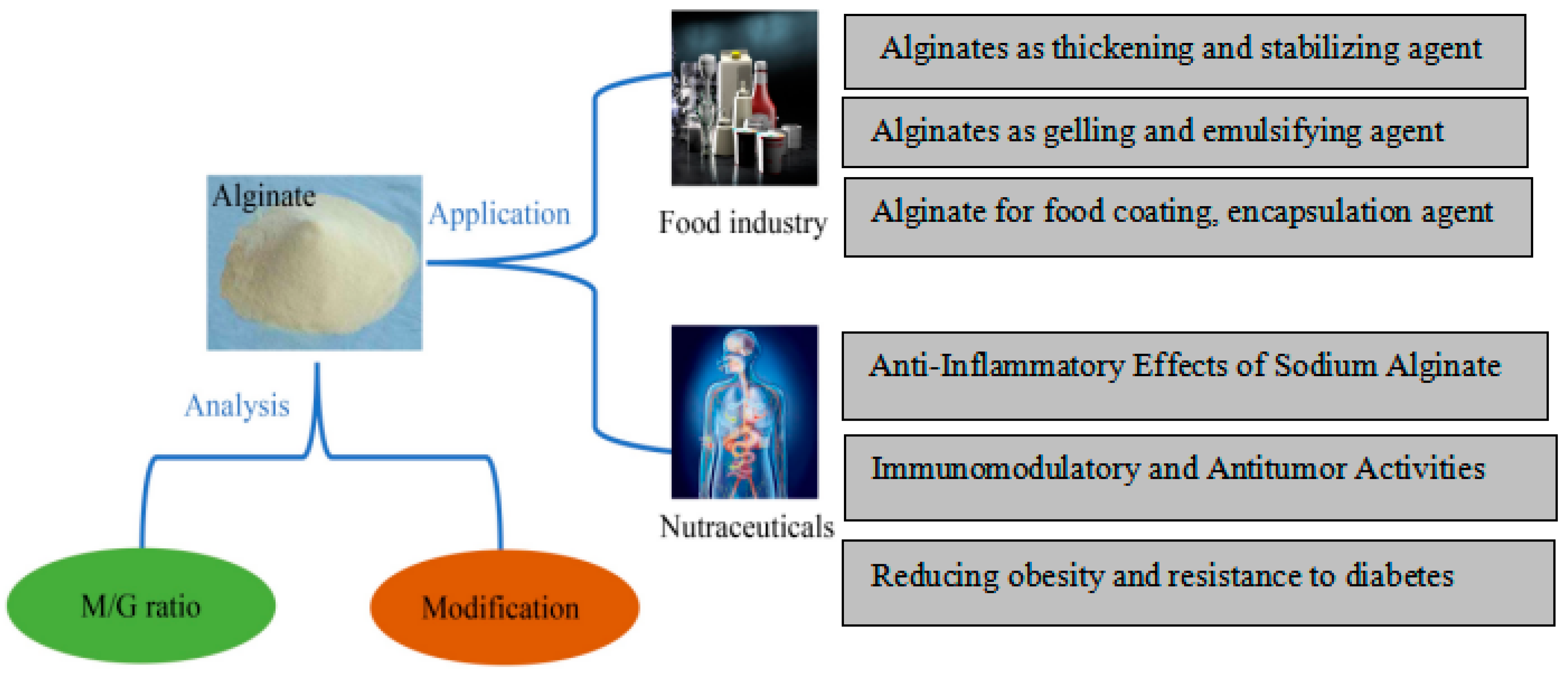 Preprints 157230 g009