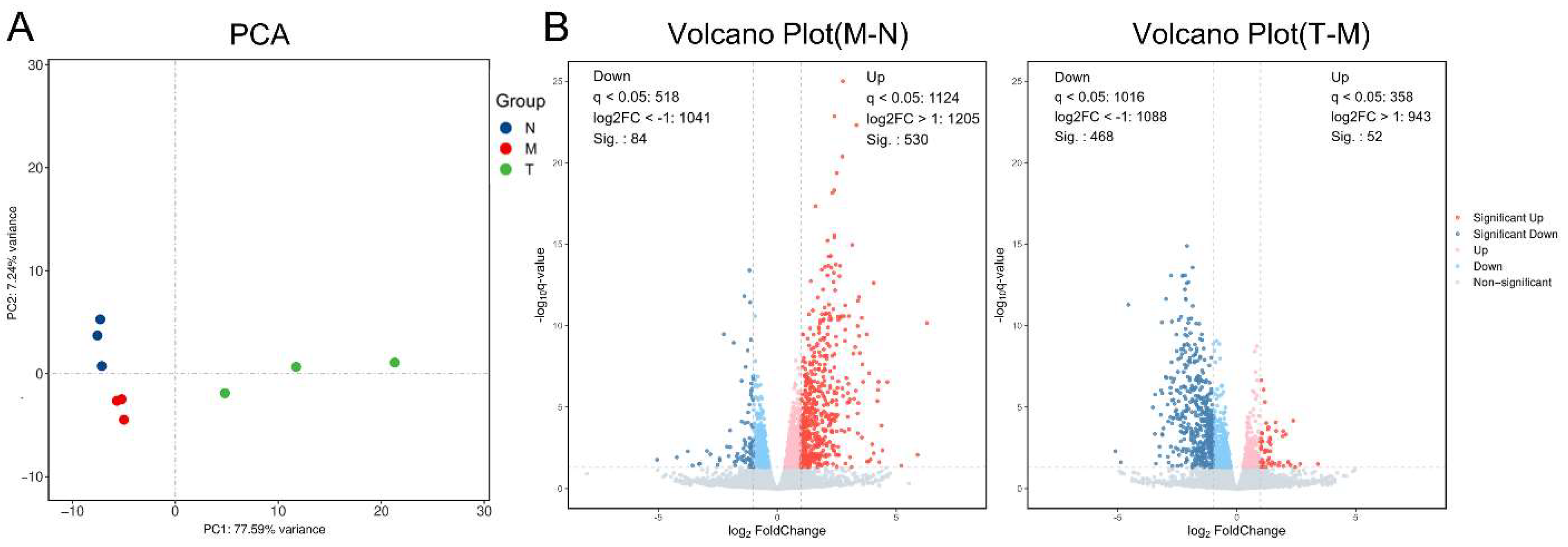 Preprints 138694 g002