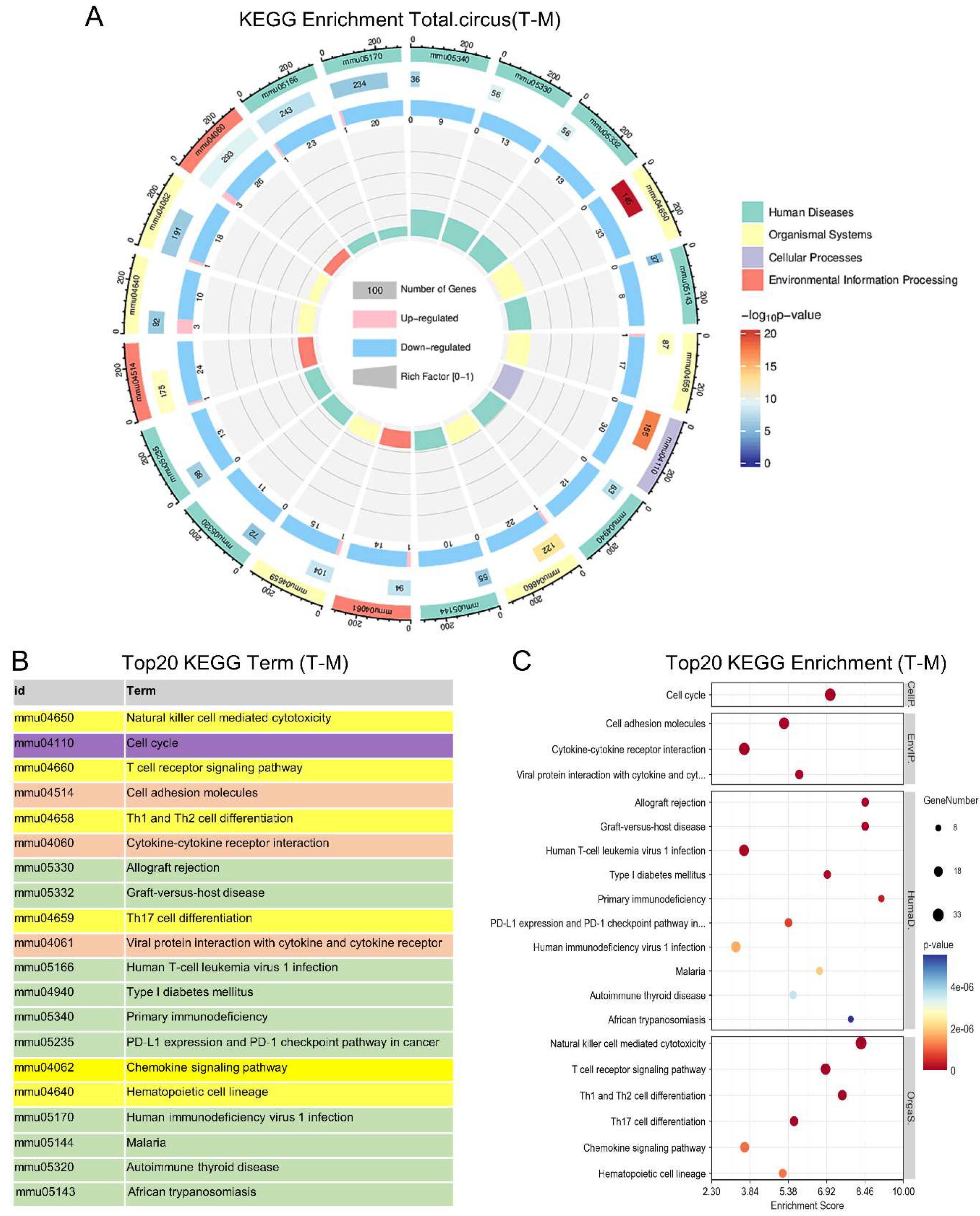 Preprints 138694 g004