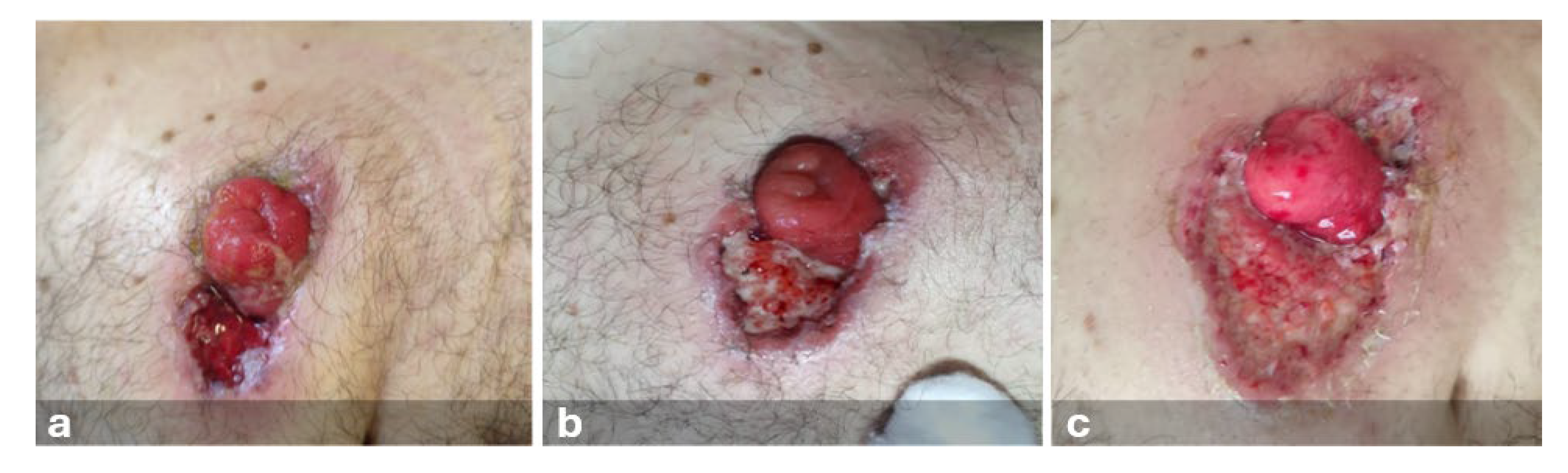 Preprints 140909 g001