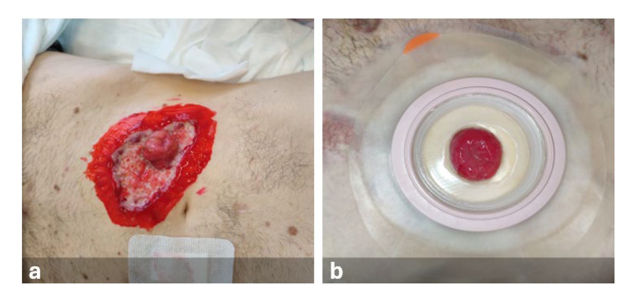 Preprints 140909 g002