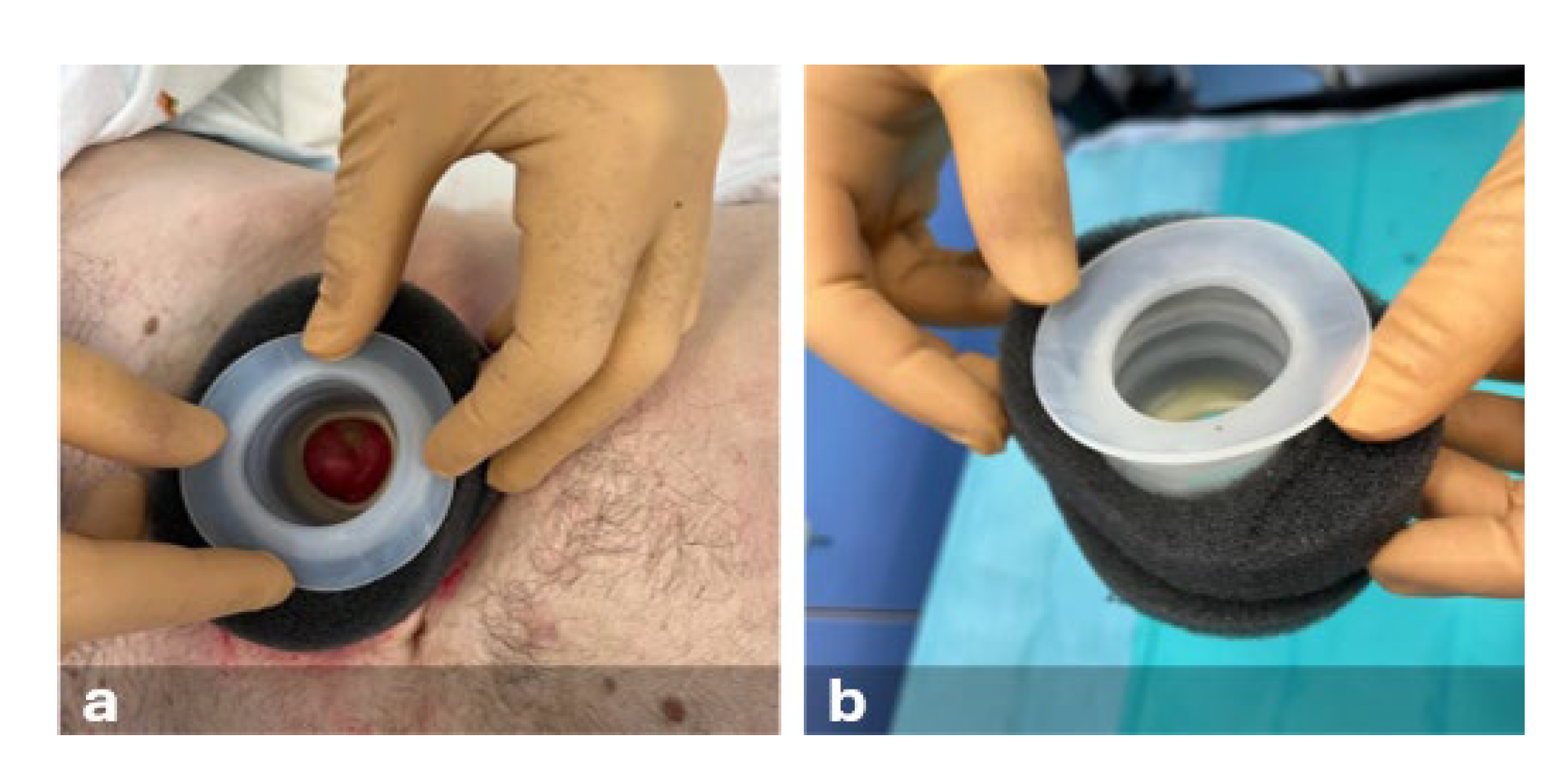 Preprints 140909 g003