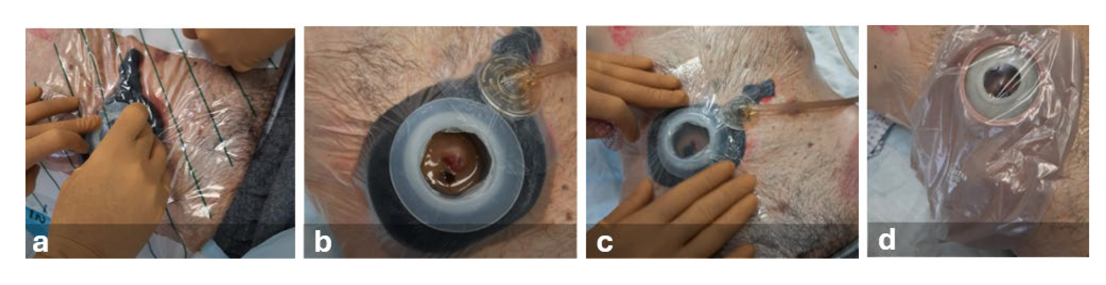 Preprints 140909 g004