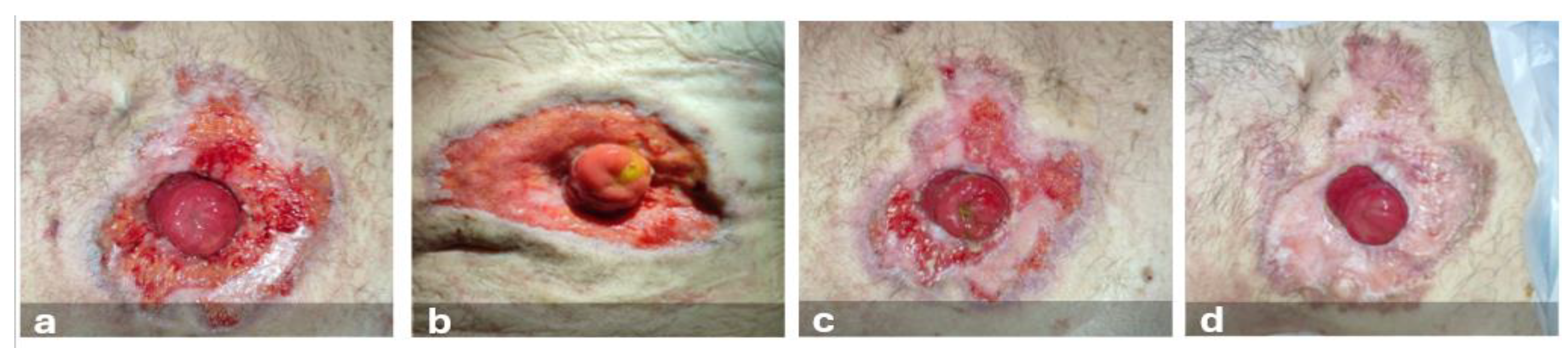 Preprints 140909 g005
