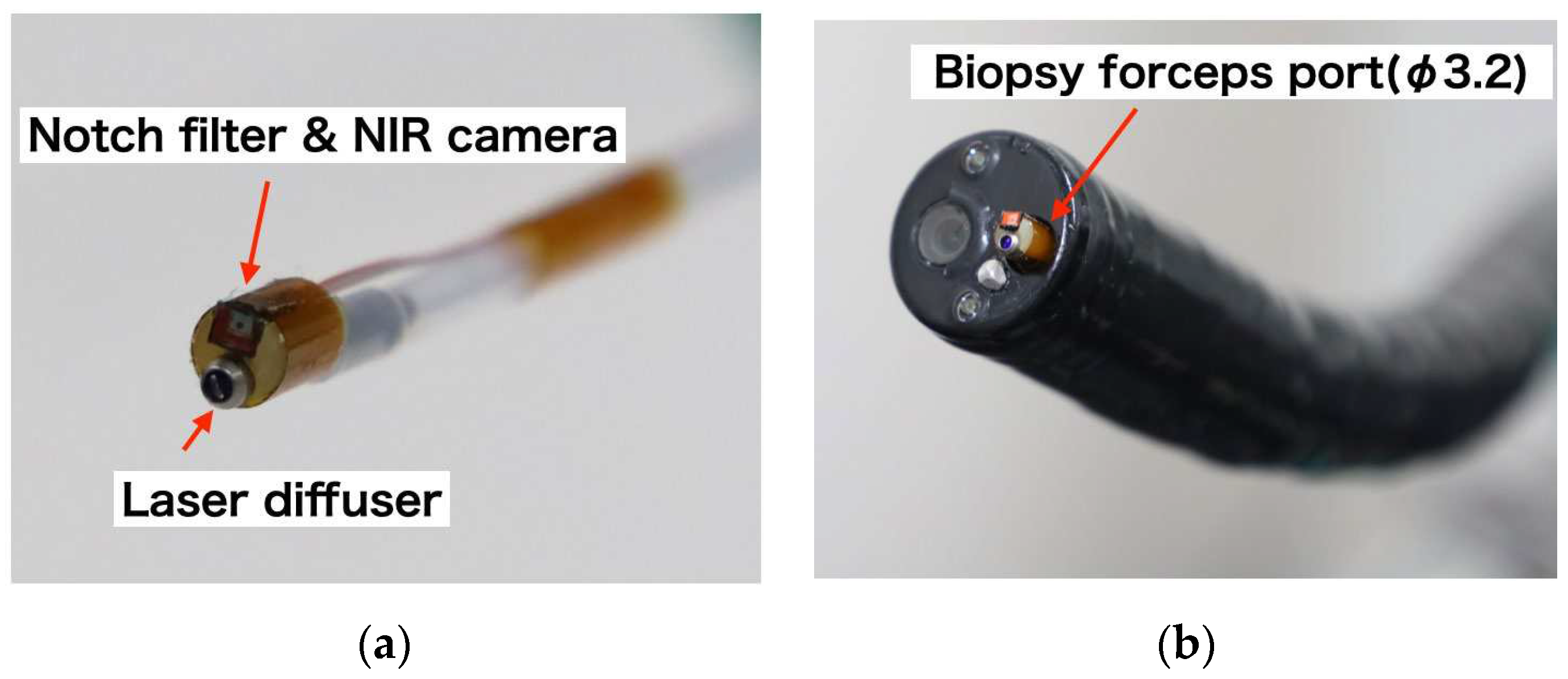 Preprints 95886 g003