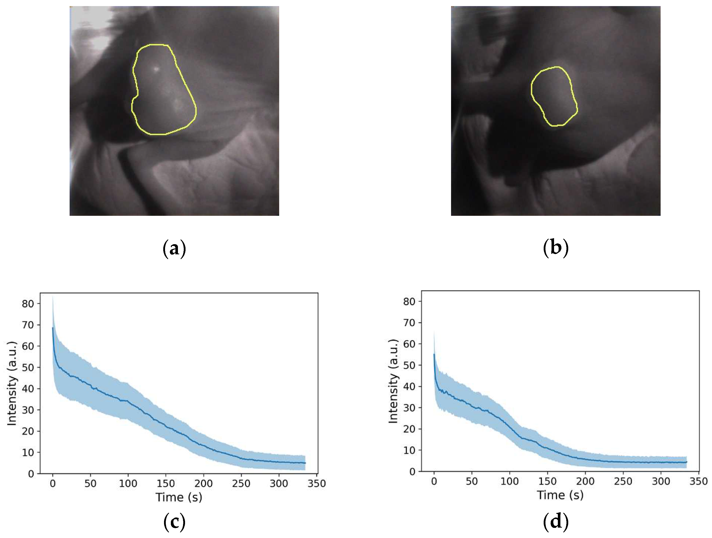 Preprints 95886 g006