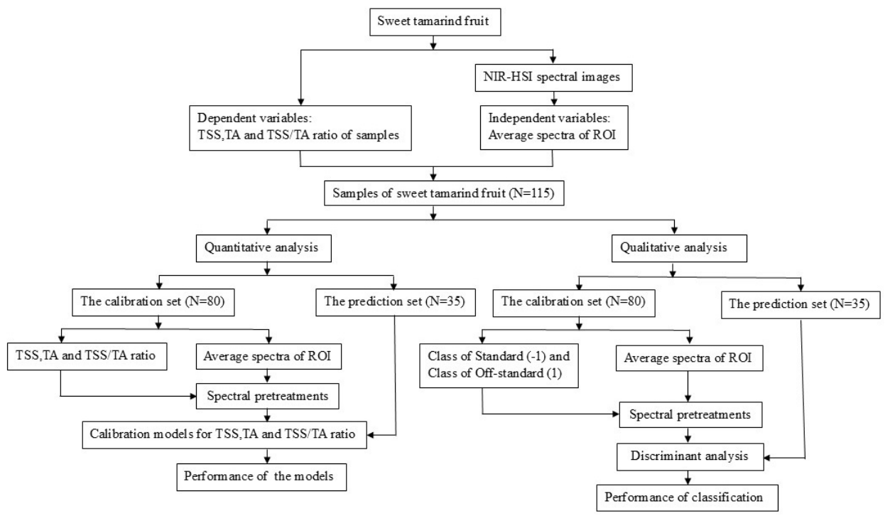 Preprints 220074 g002 Preprints 220074 g002