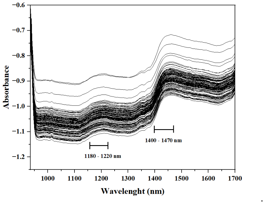 Preprints 220074 g003 Preprints 220074 g003