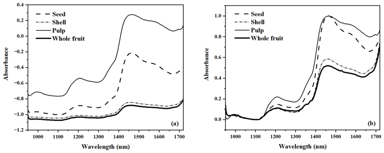 Preprints 220074 g004 Preprints 220074 g004