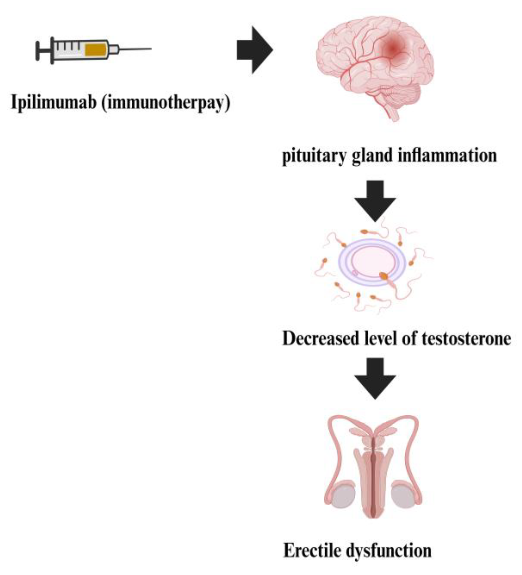 Preprints 189579 g002