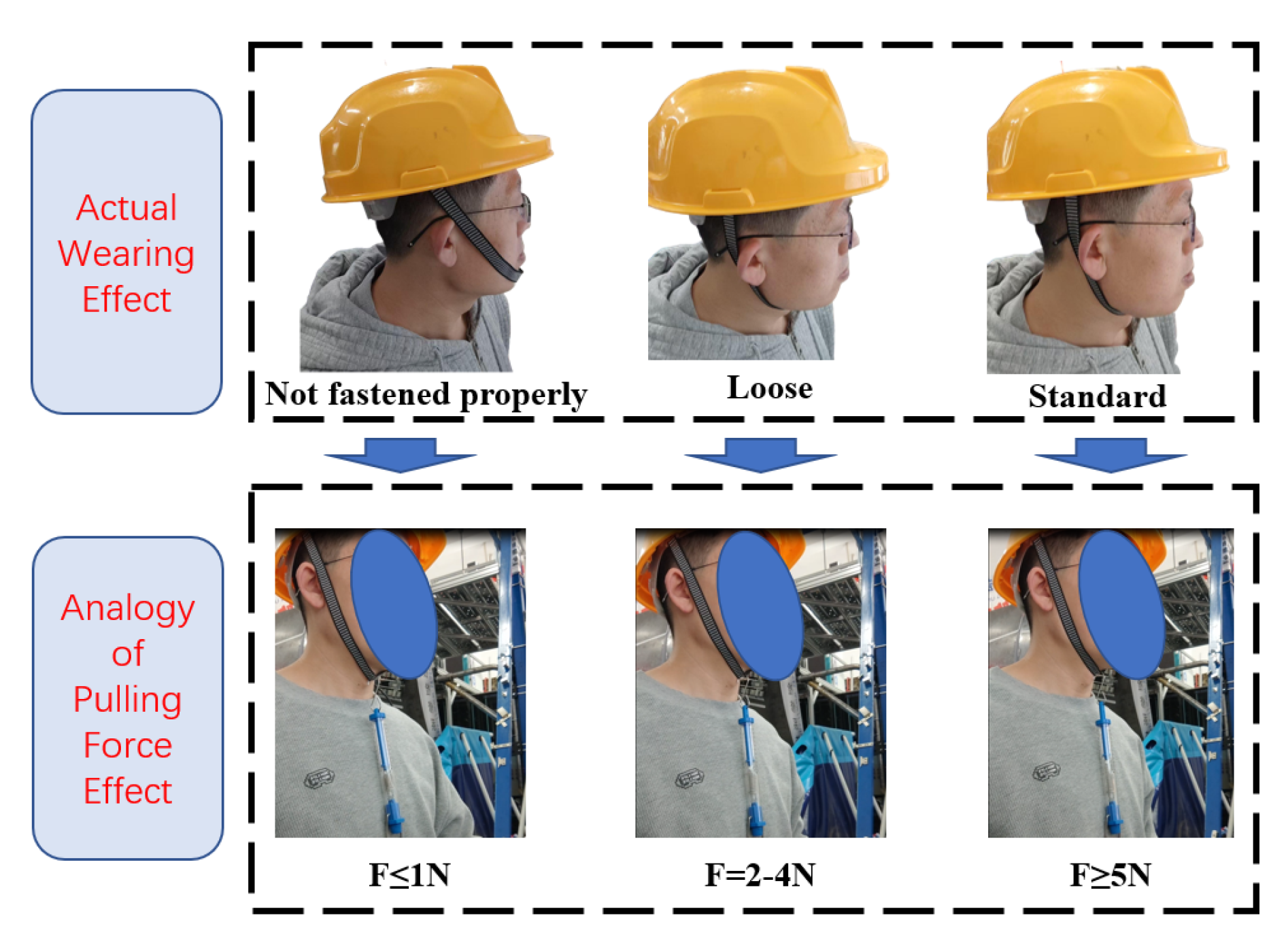 Preprints 162155 g004
