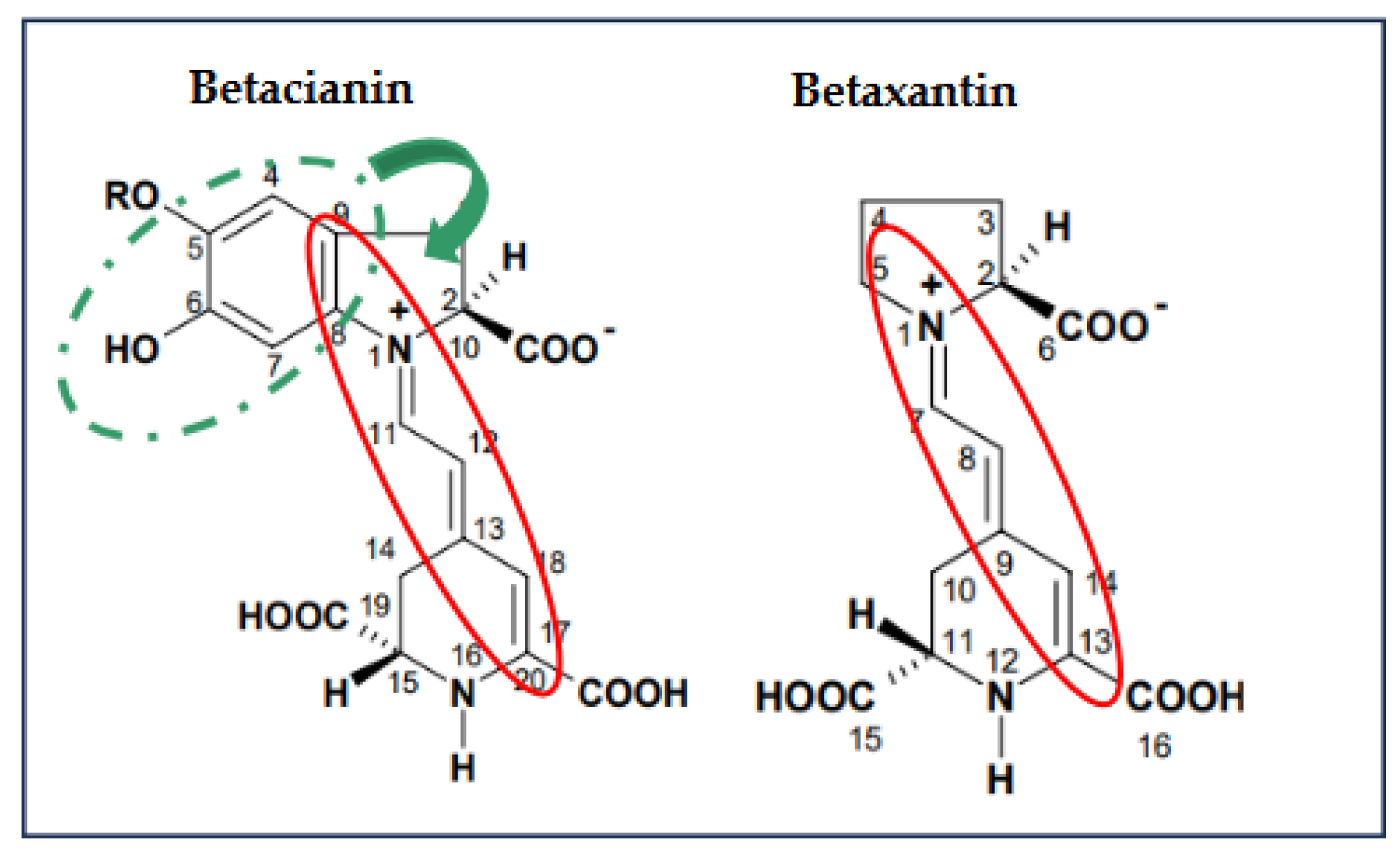 Preprints 155642 g002
