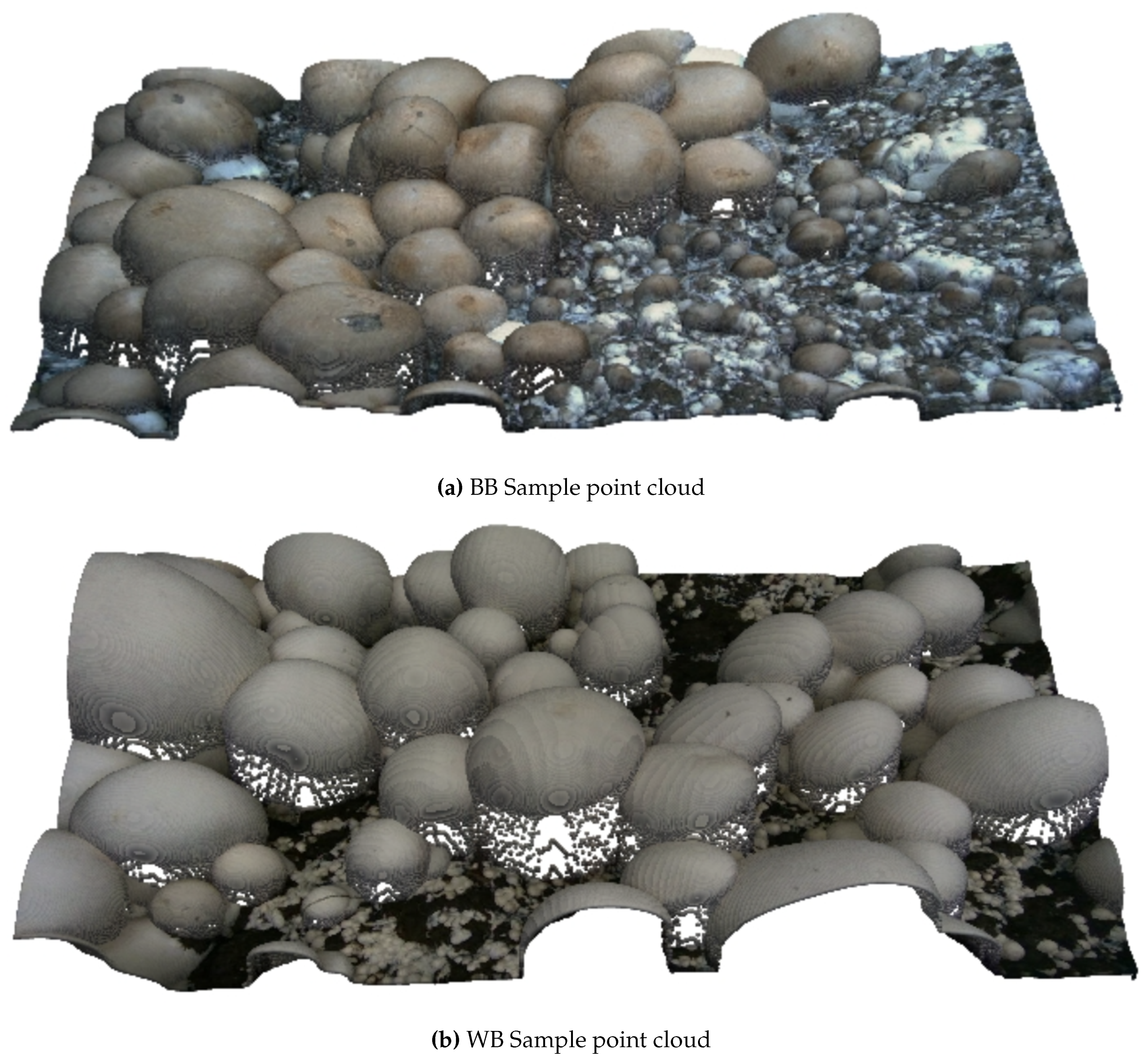 Preprints 157041 g002