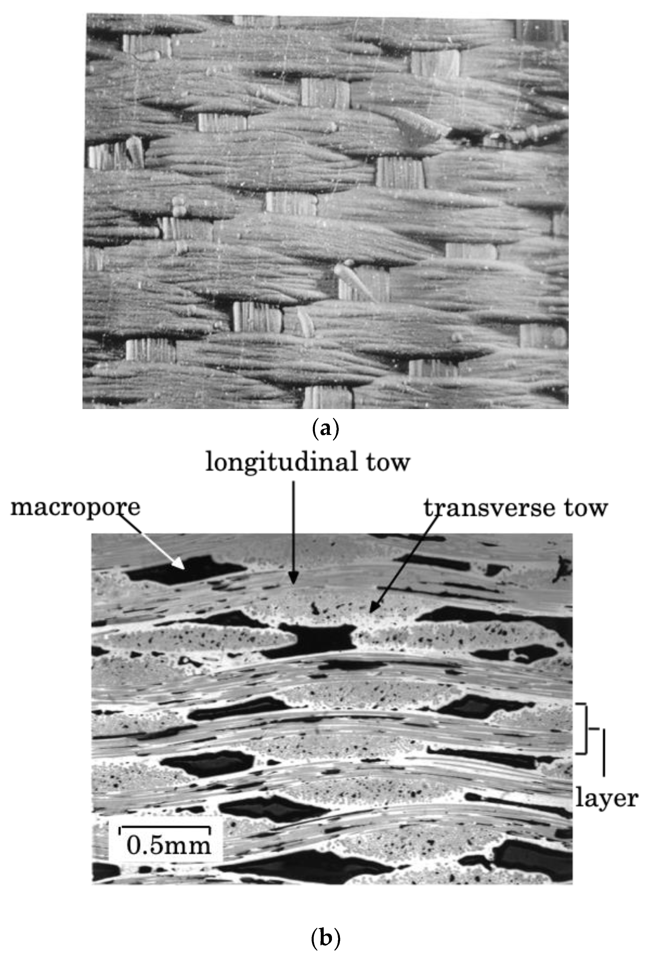 Preprints 137675 g001