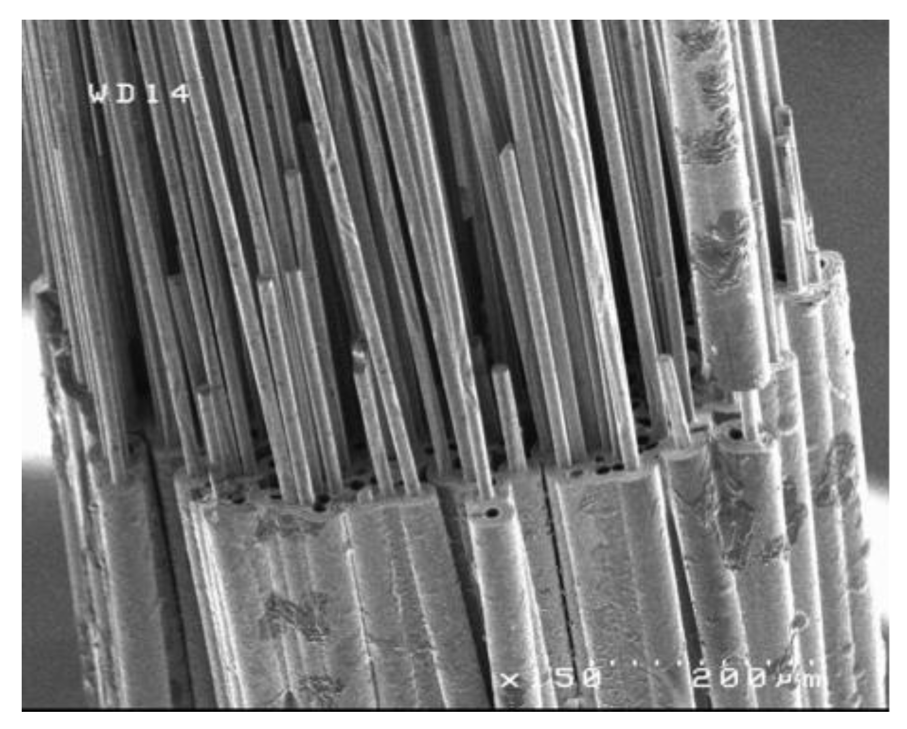 Preprints 137675 g002