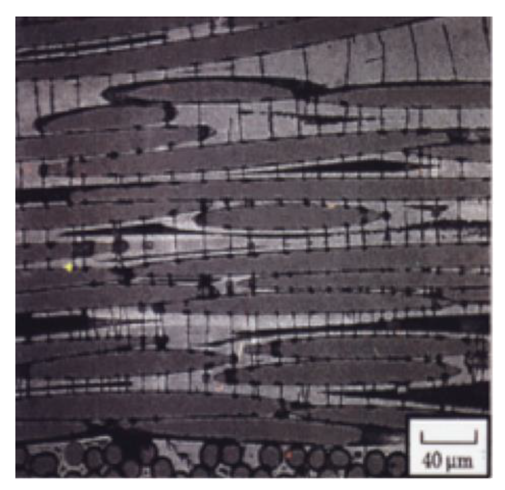 Preprints 137675 g007