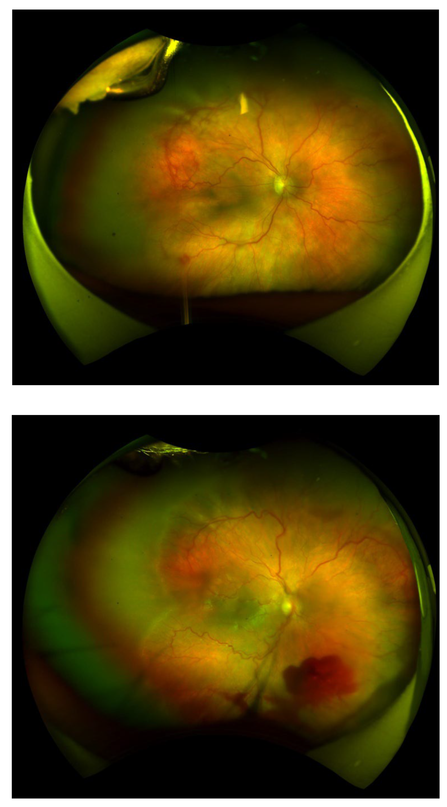 Preprints 143469 g001