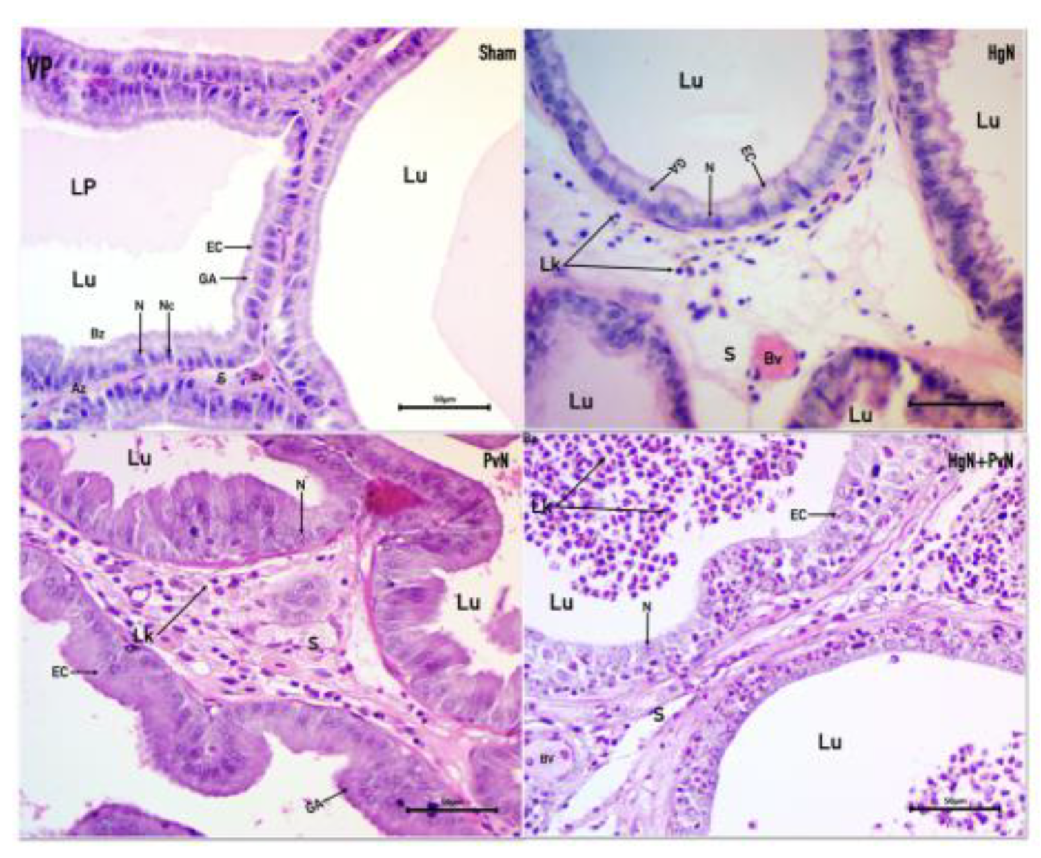 Preprints 156365 g001