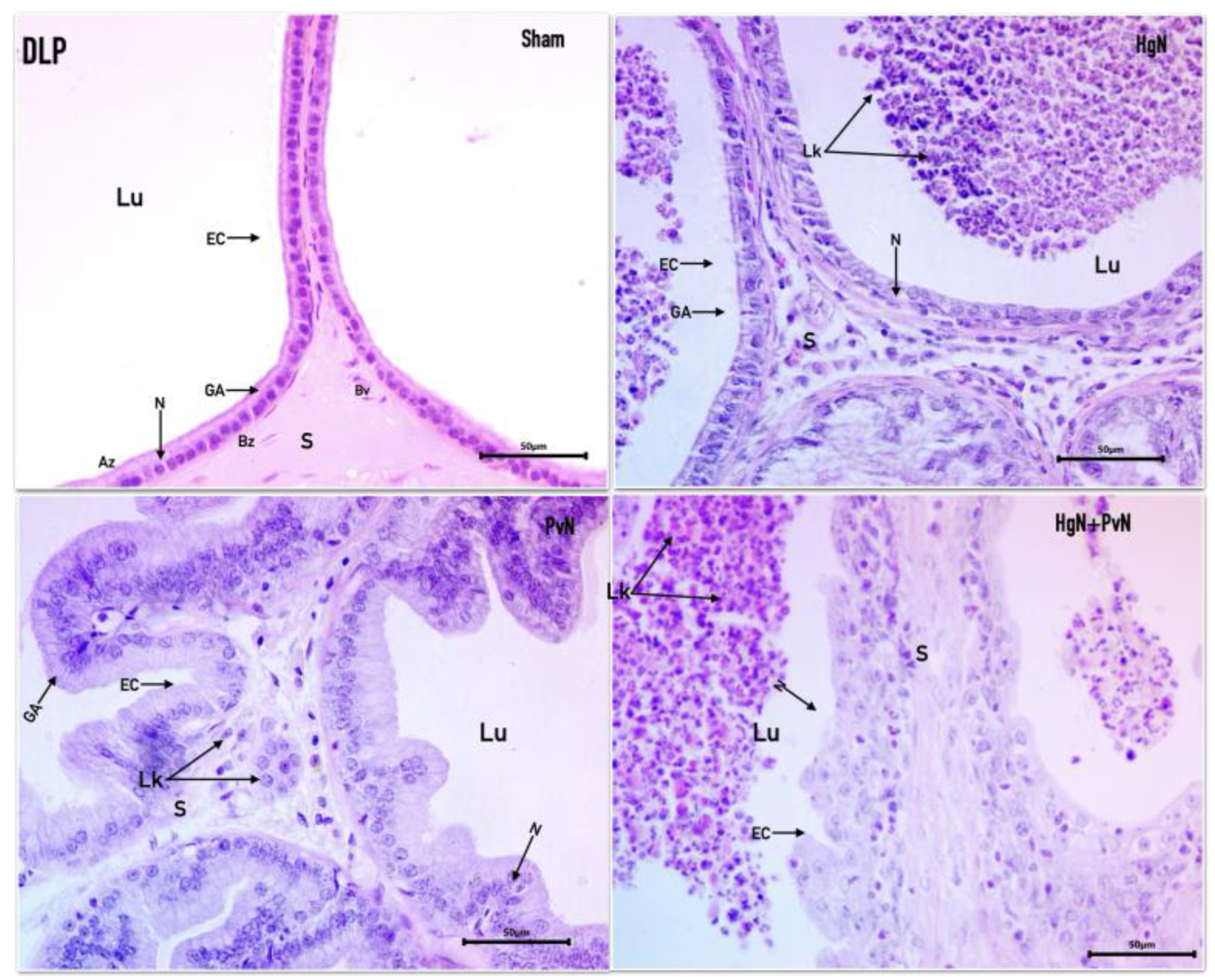 Preprints 156365 g002