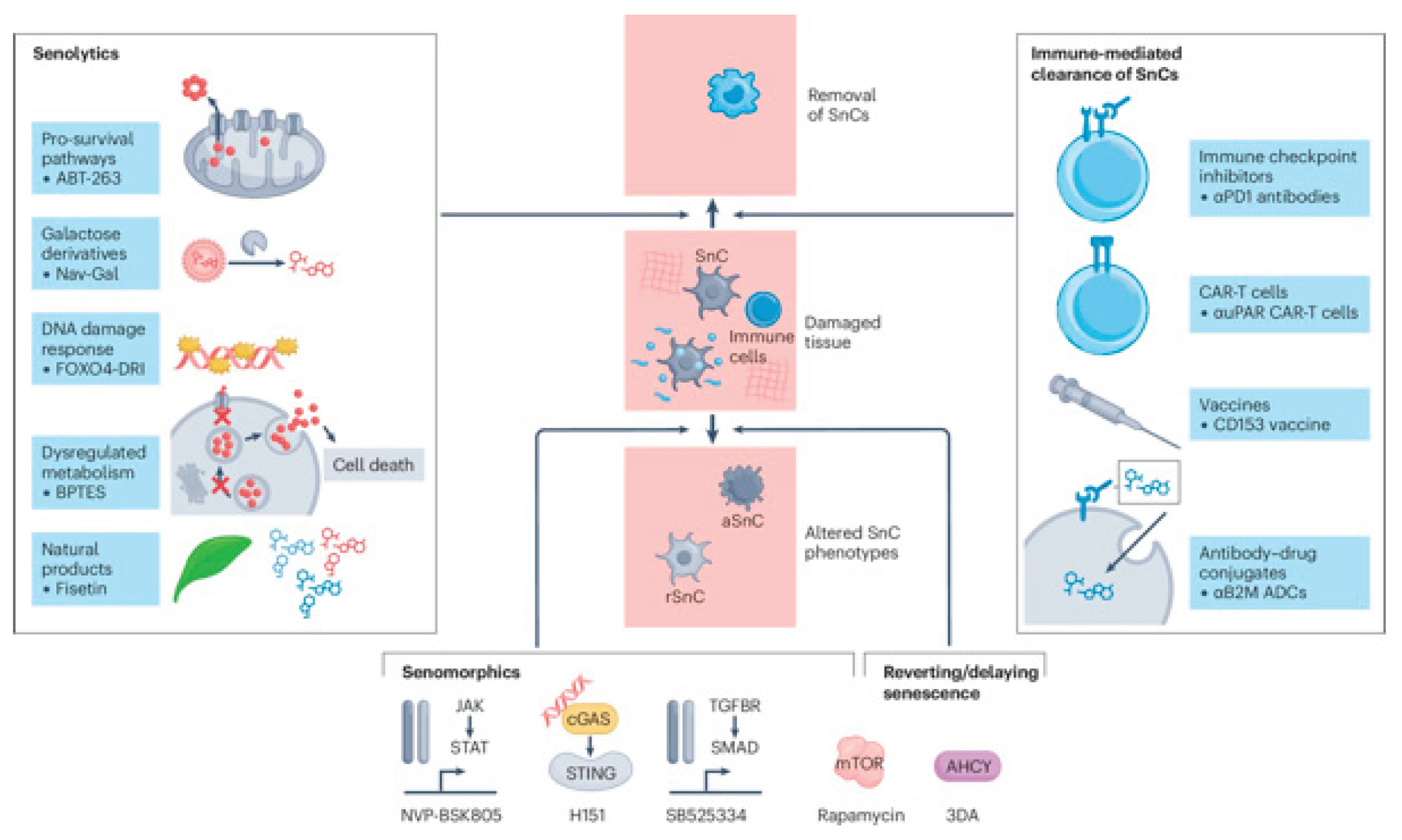 Preprints 181550 g002