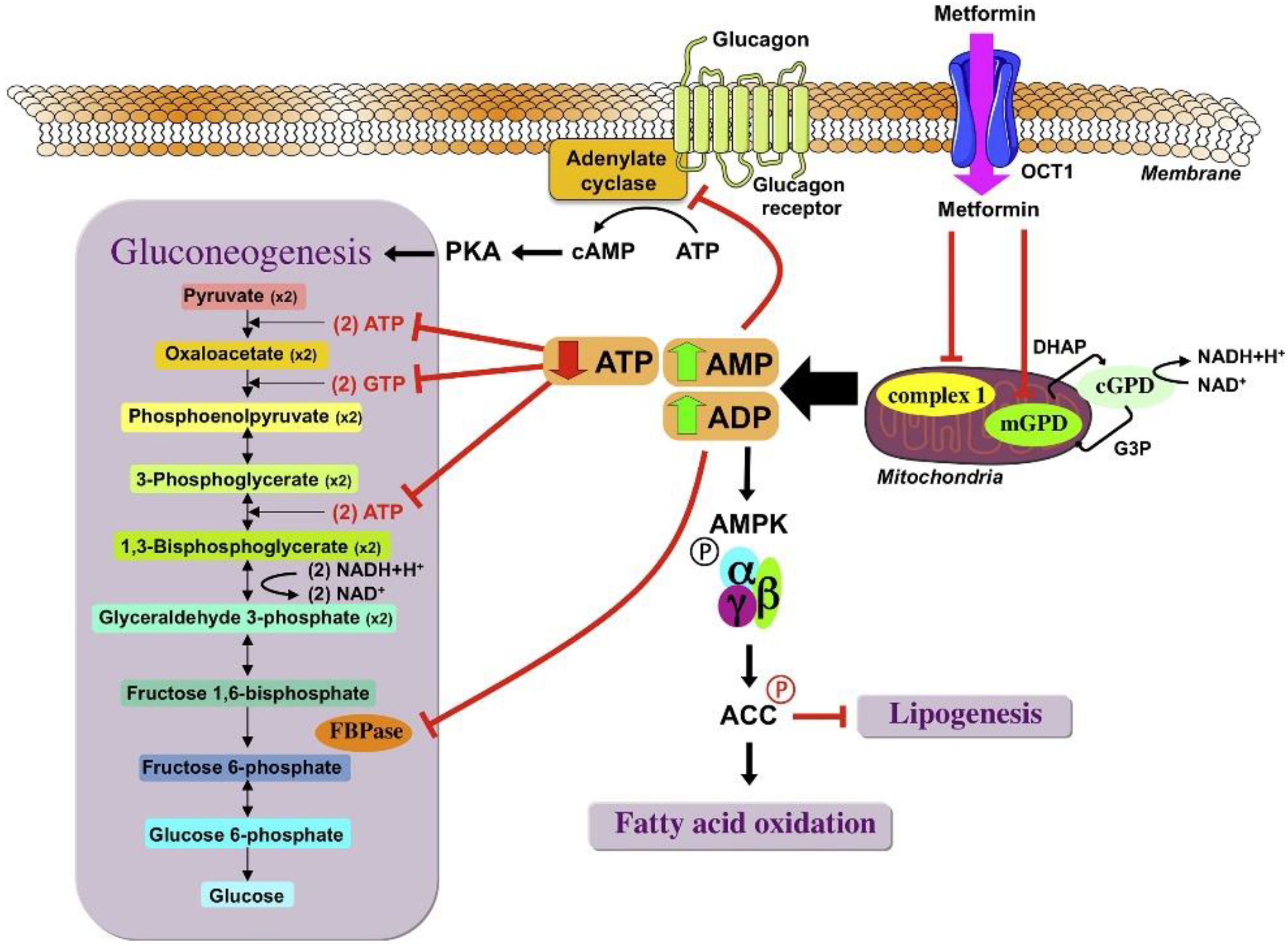 Preprints 152353 g004