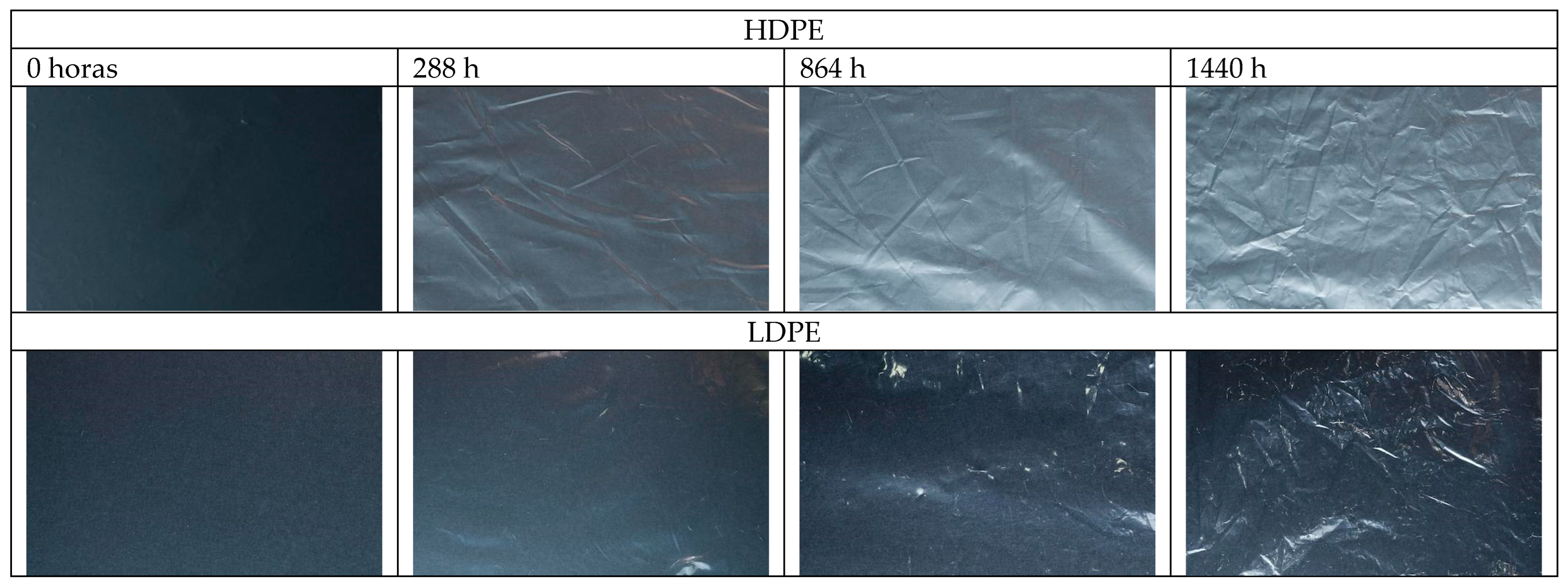 Preprints 174788 g009