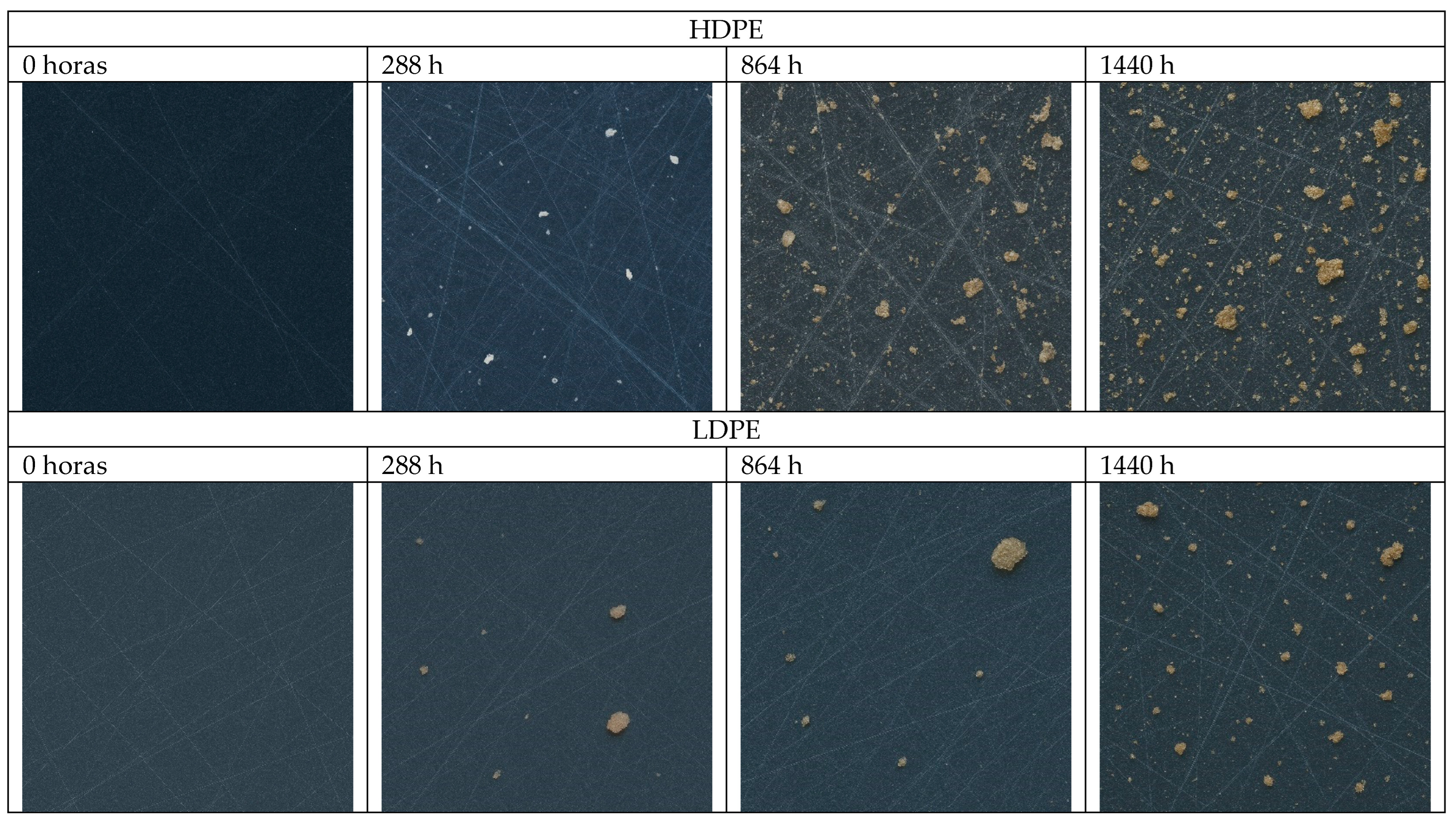 Preprints 174788 g010