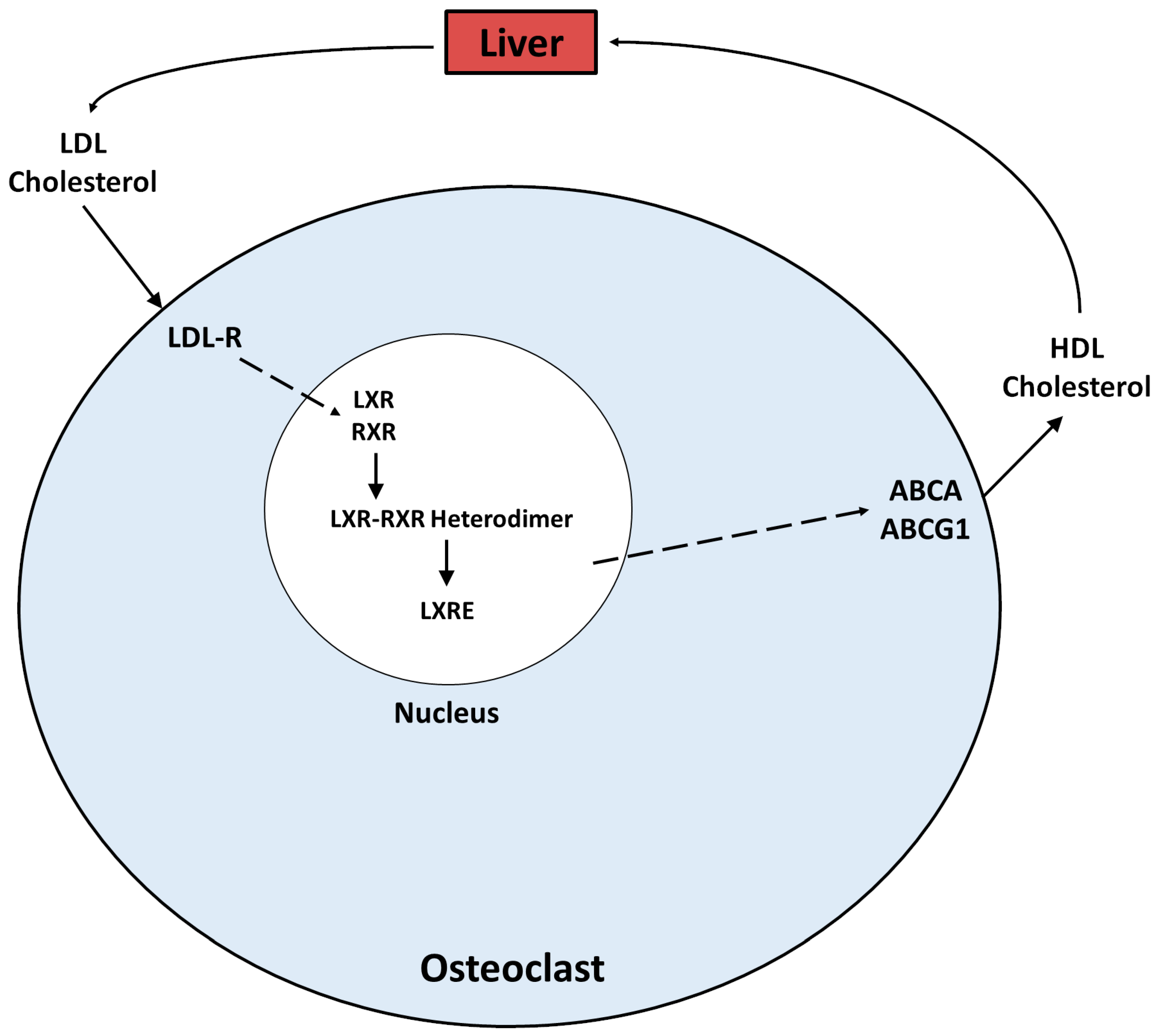 Preprints 140716 g002